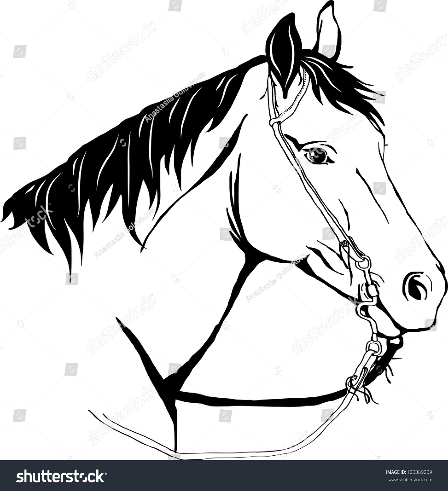 Western Horse Stock Vector 120389209 - Shutterstock