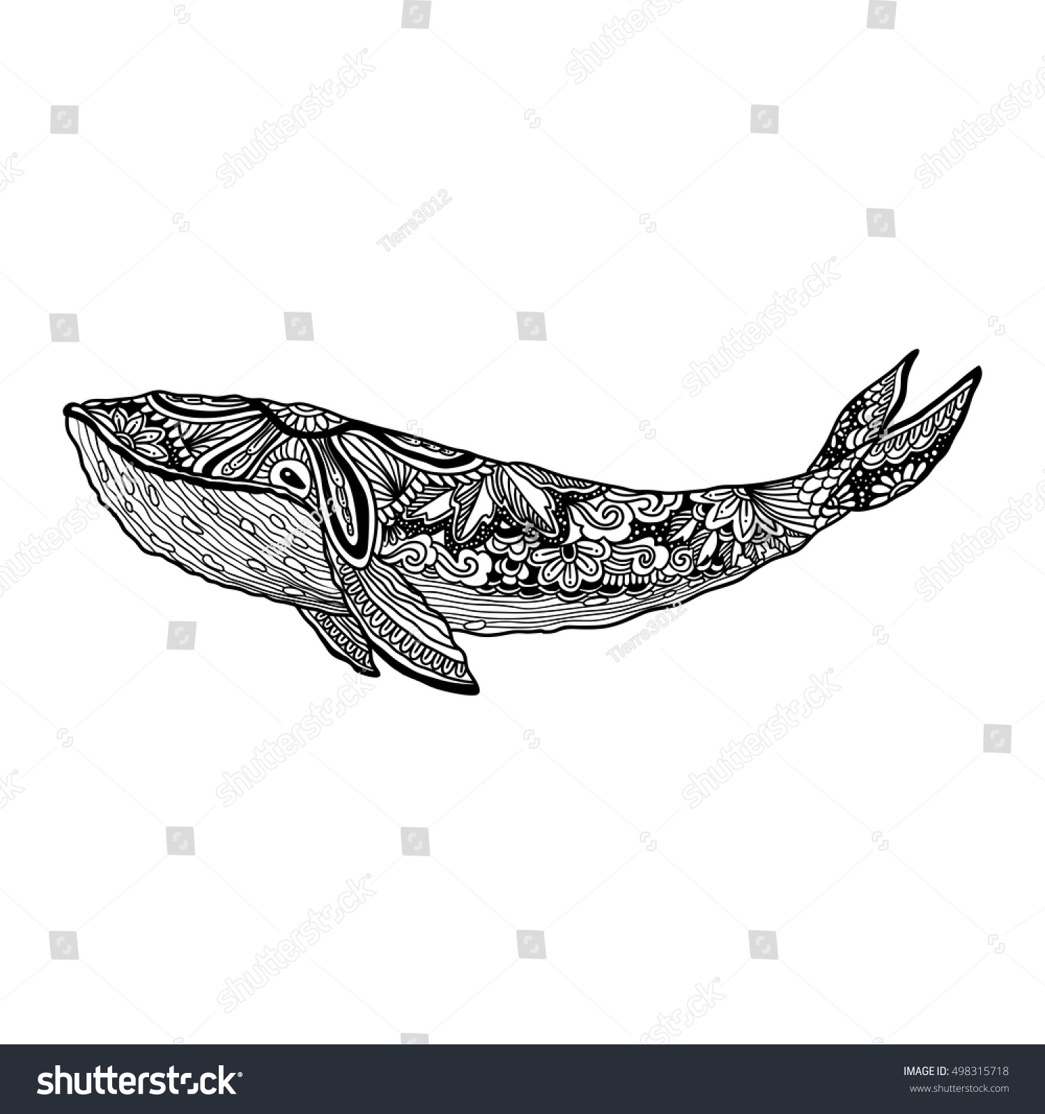 Uncategorized Whale Pictures To Print whale vector zentangle print adult stock 498315718 coloring page hand drawn artistically whale