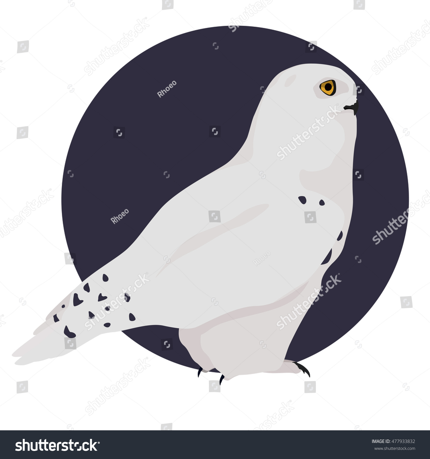 Free Free 103 Snowy Owl Svg SVG PNG EPS DXF File