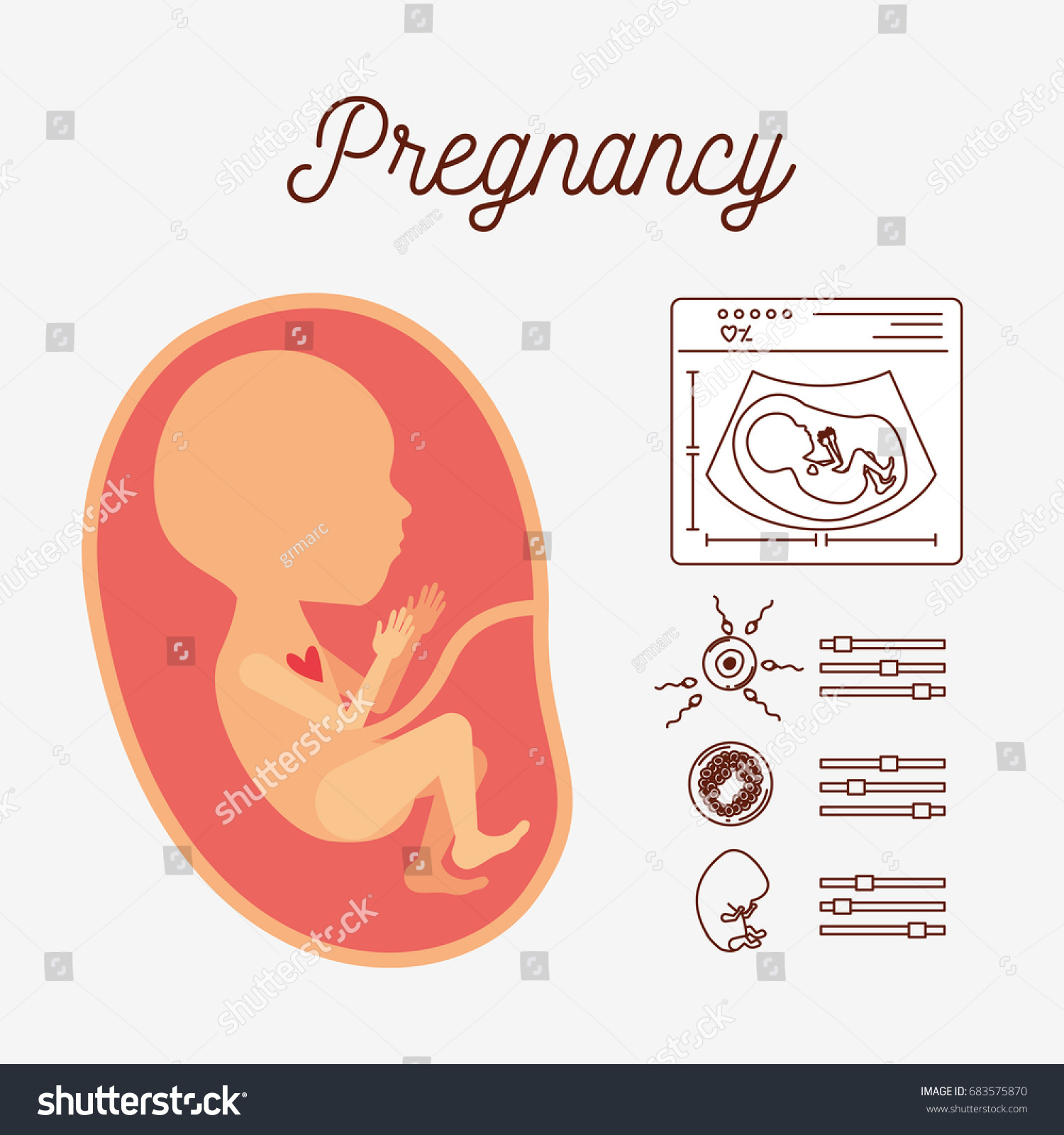 White Background Color Silhouette Human Fetus Stock Vector (Royalty ...