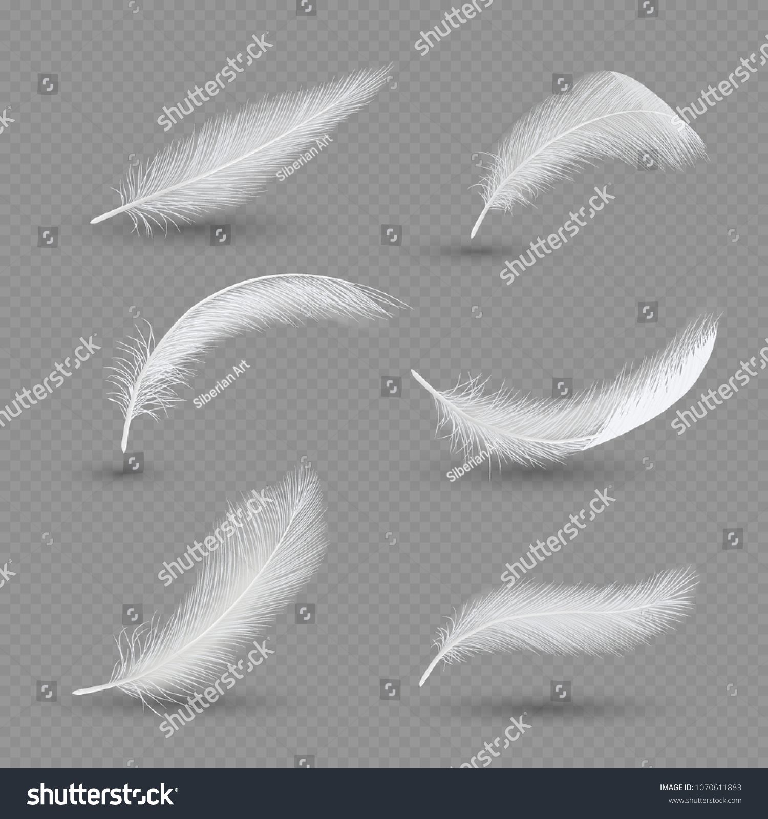 White Birds Feather Icon Set Vector Stock Vector (Royalty Free) 1070611883