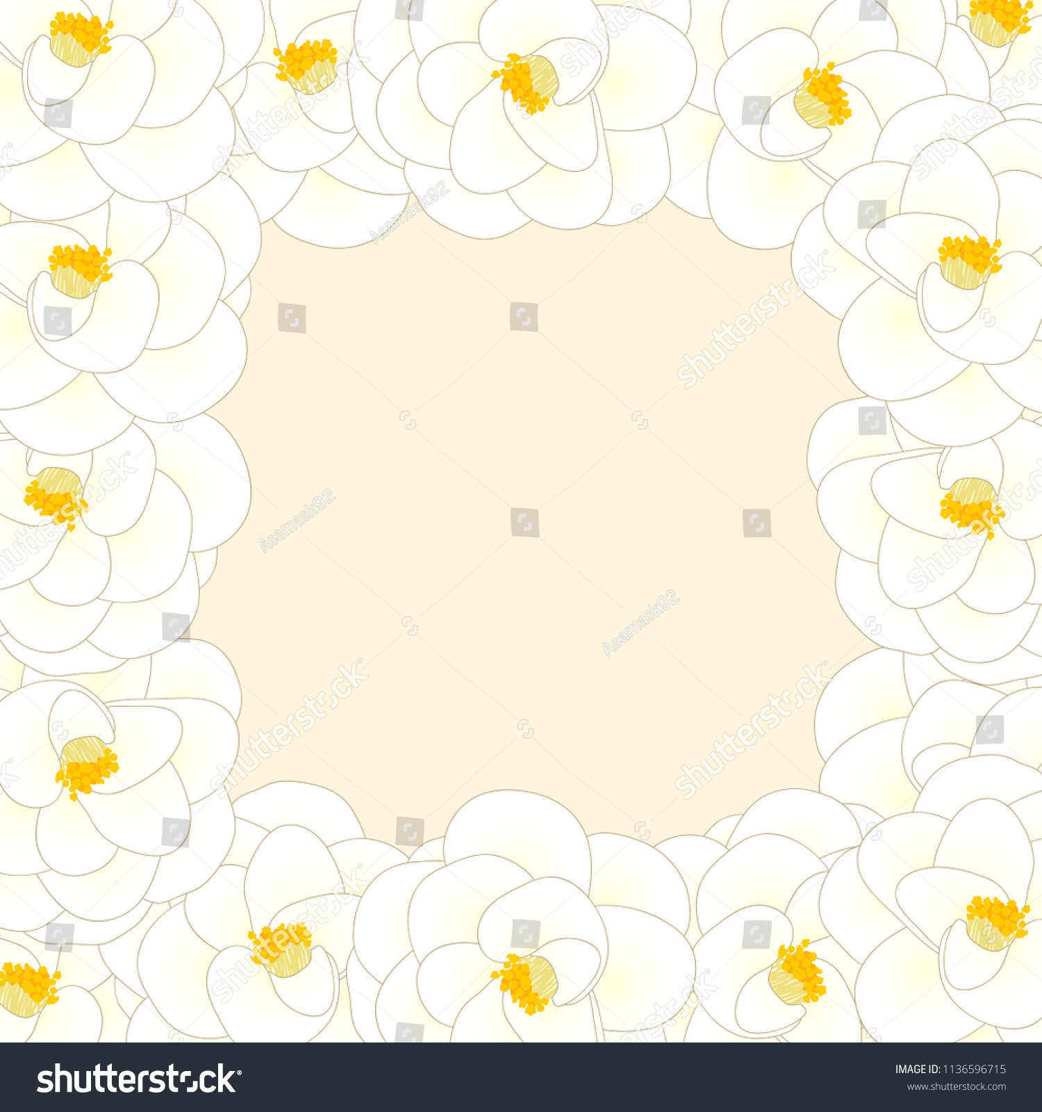 White Camellia Flower Border Isolated On Stock Vector (royalty Free 