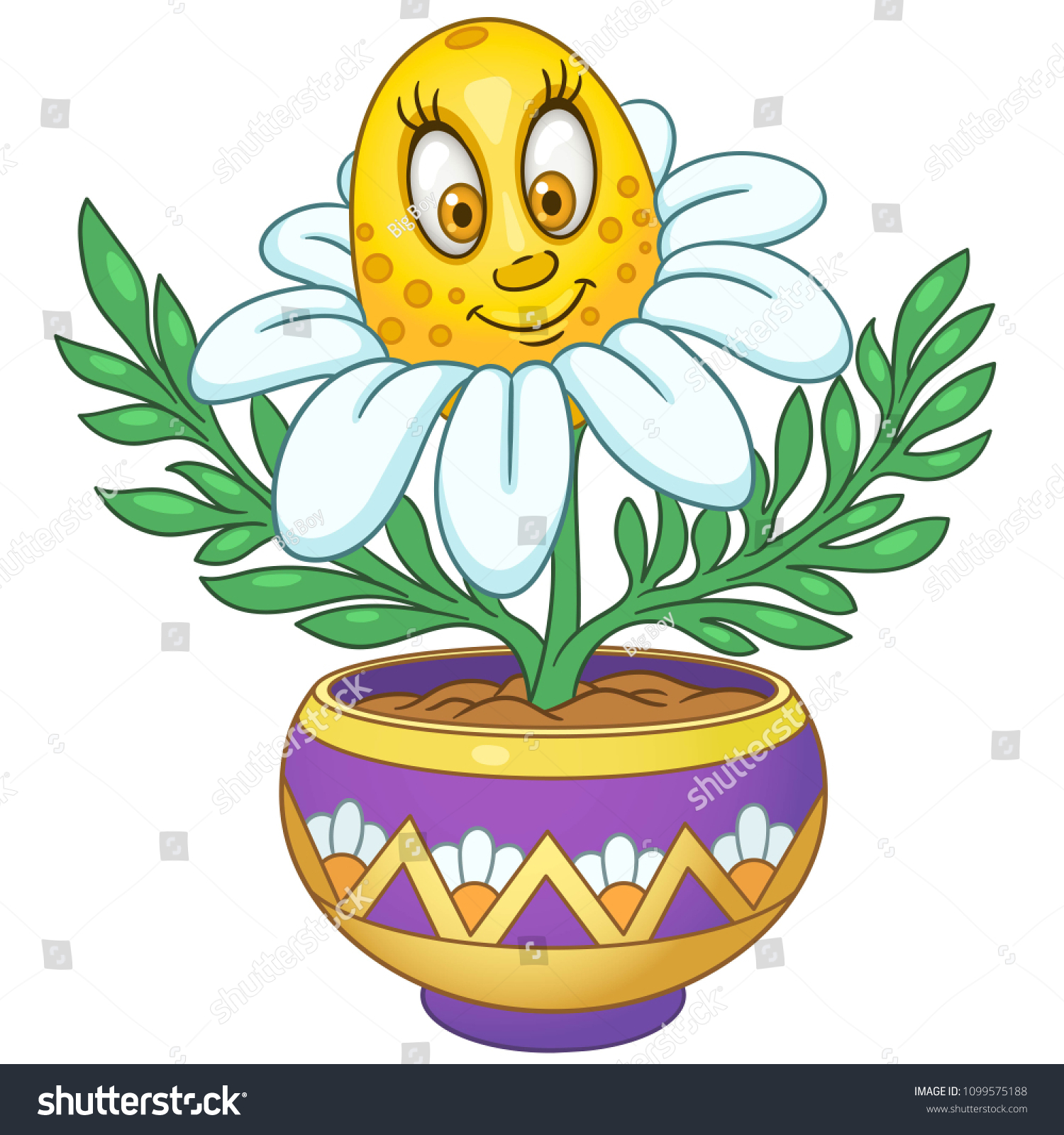 White Daisy Chamomile Flower House Plant Stock Vector Royalty ...