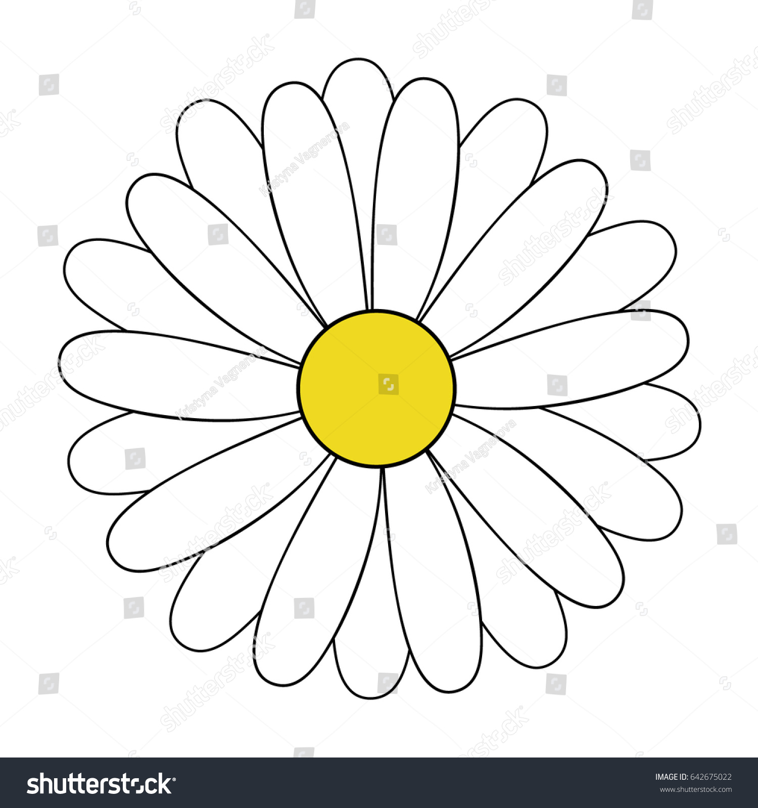 White Daisy Flower Vector Illustration Daisy Stock Vector (Royalty Free