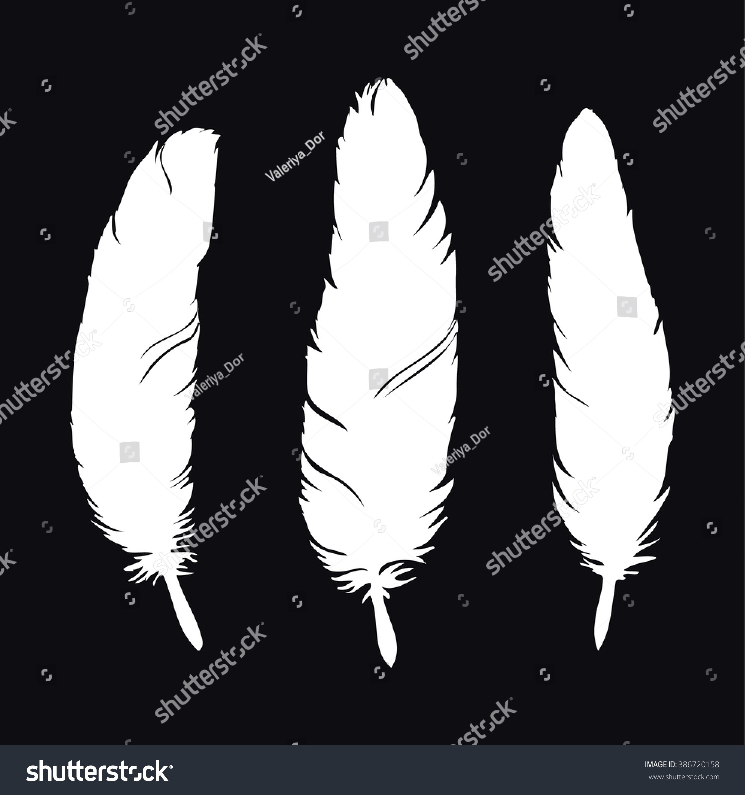 White Feathers Silhouette Isolated On Black Background. Feather Set ...