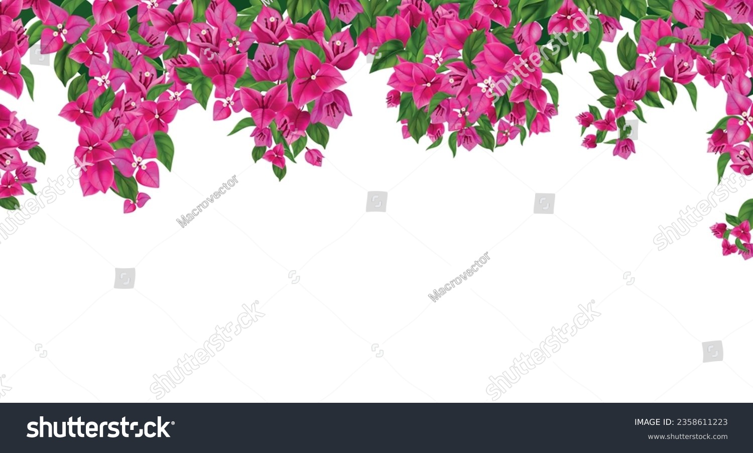 SVG of White floral background decorated with border of hanging blooming bougainvillea branches realistic vector illustration svg