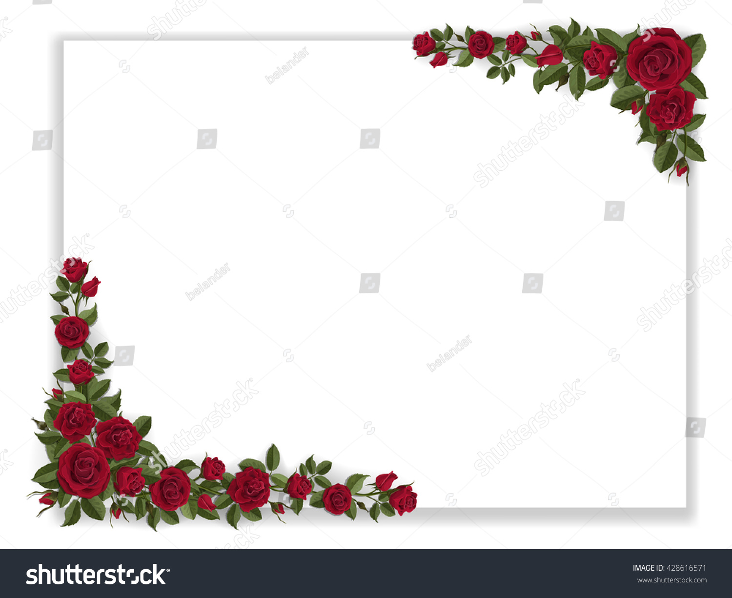 stock vector white paper sheet decorated red roses blank for romantic greeting card or invitation blooming 428616571