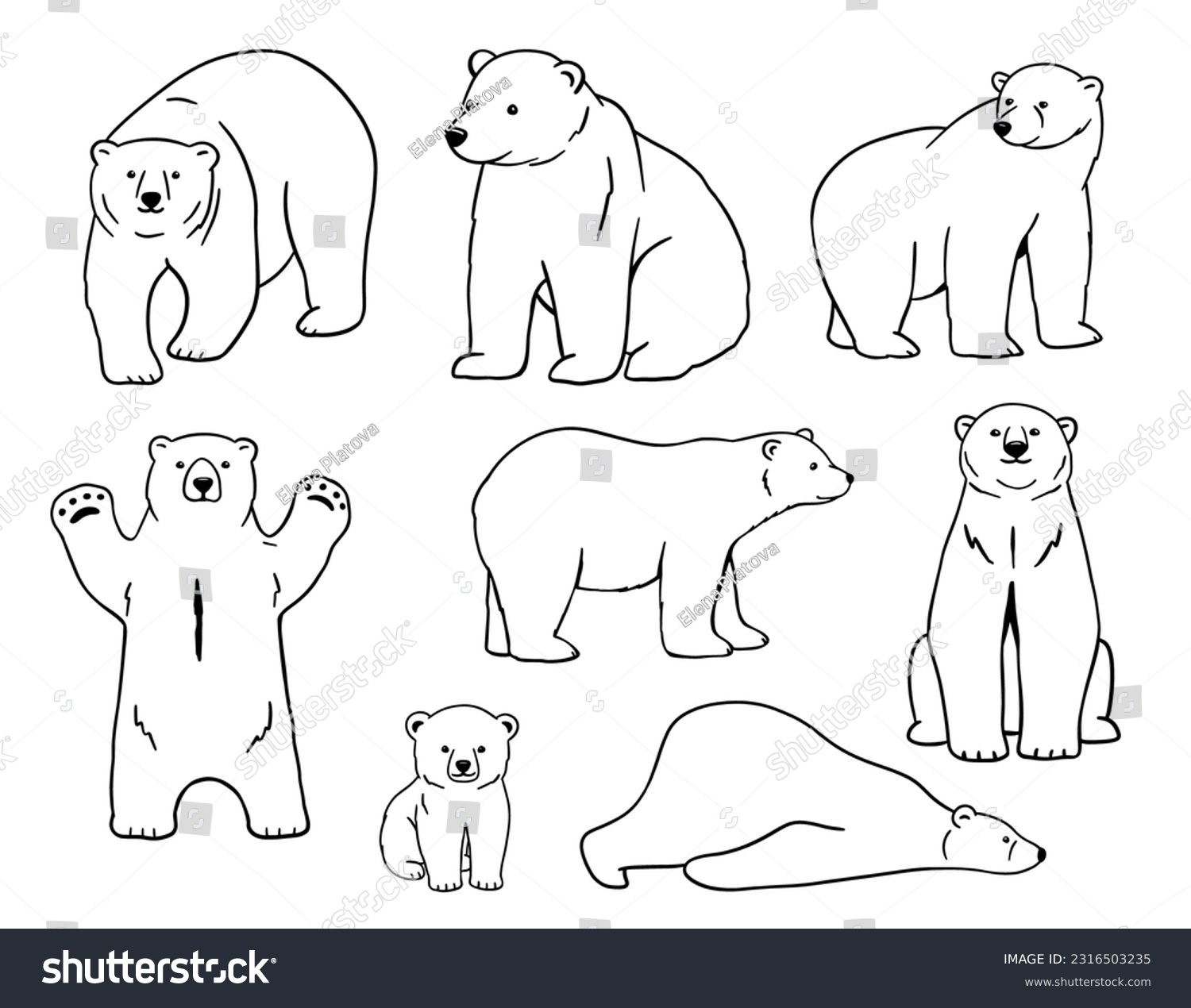 SVG of White polar bear stands on paws, lying. Baby White polar bear line sketch set. Outline vector illustration of forest animal. svg