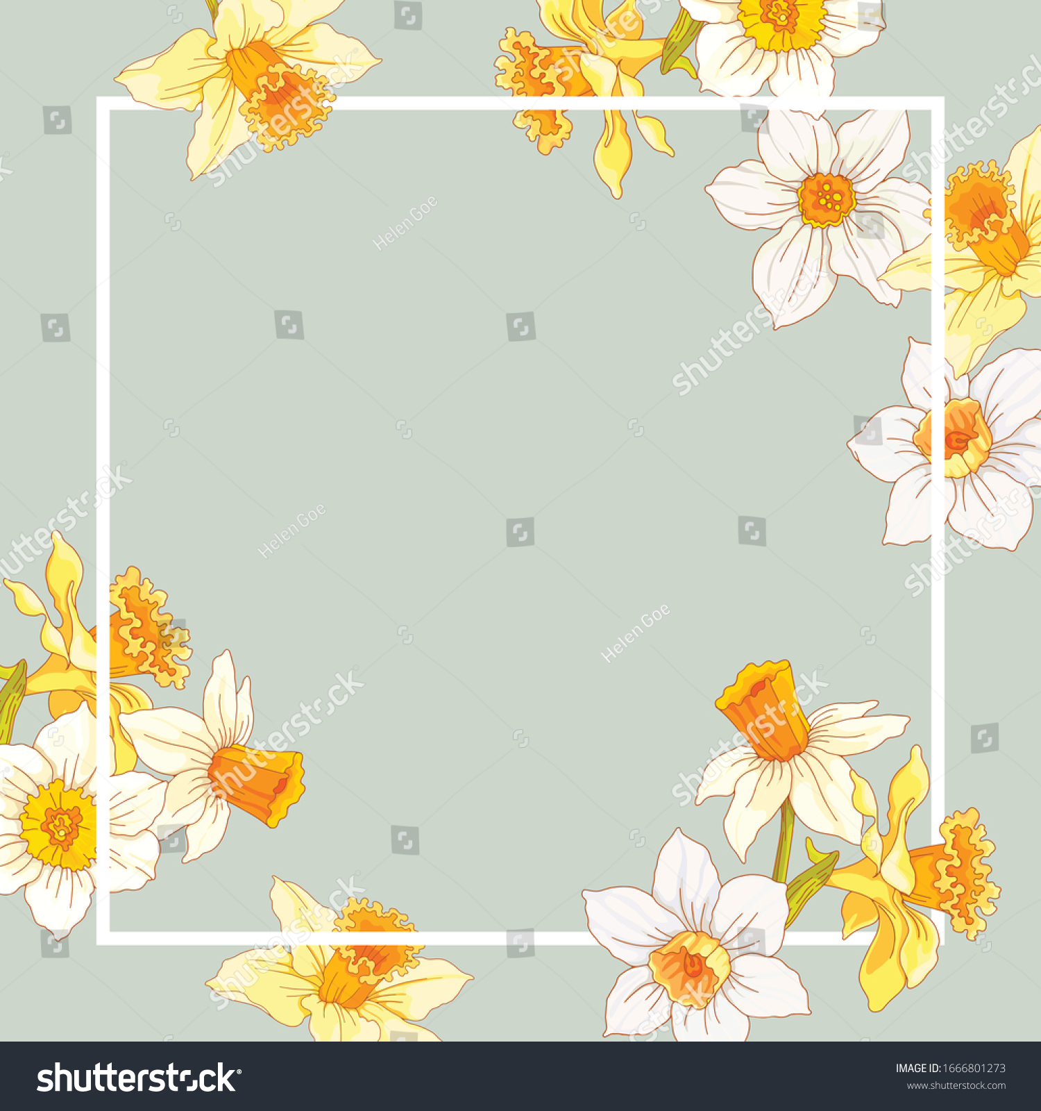 SVG of White rectangular frame on a background of pale yellow and white flowers of a daffodil. Design element for banners, cards, flyers.
 svg