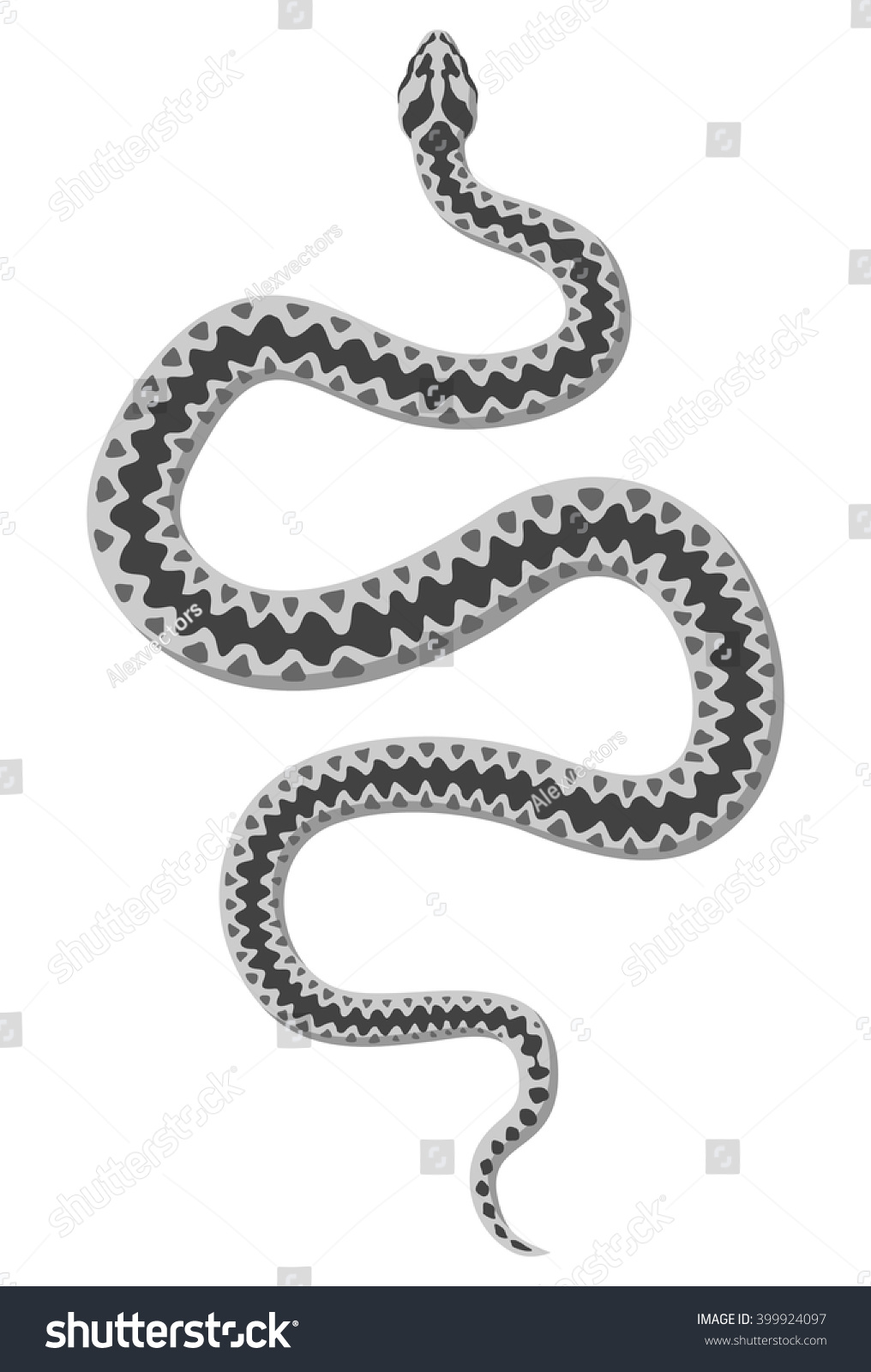 White Snake Vector Stock Vector 399924097 - Shutterstock