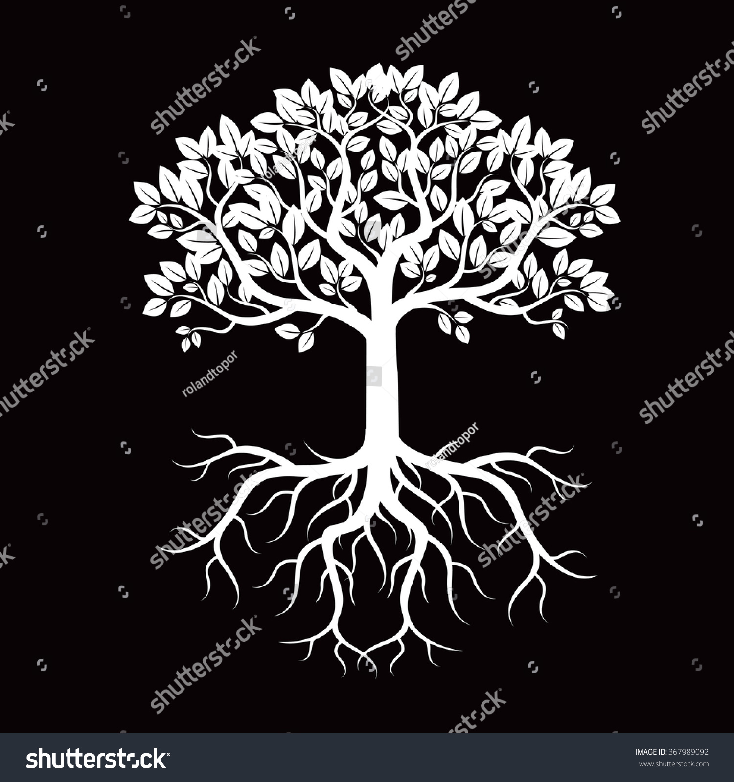 White Tree Roots Vector Illustration Stock Vector 367989092 - Shutterstock