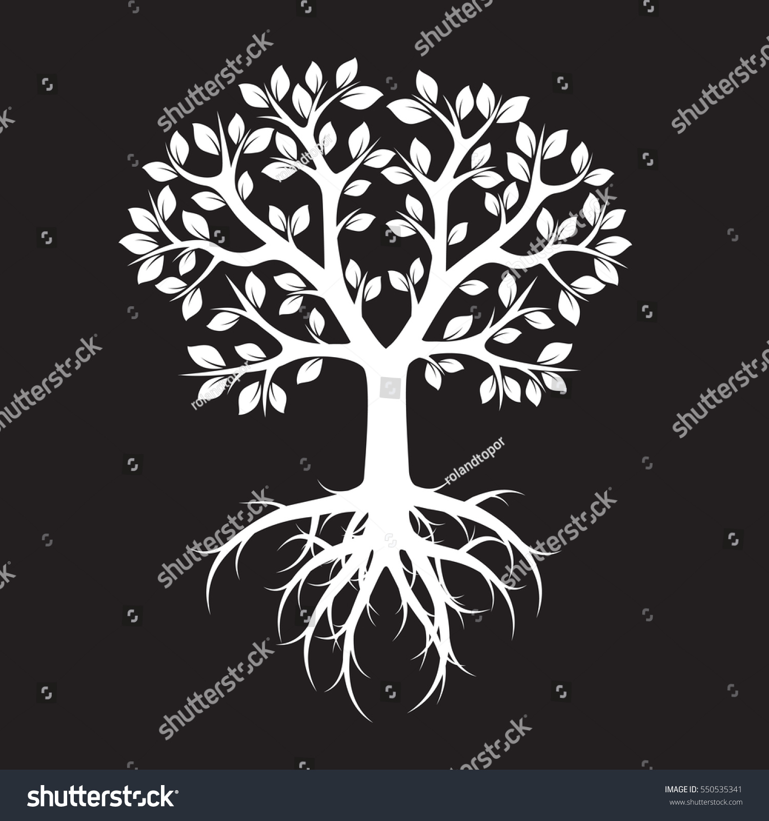 White Tree Roots Vector Illustration Stock Vector 550535341 - Shutterstock