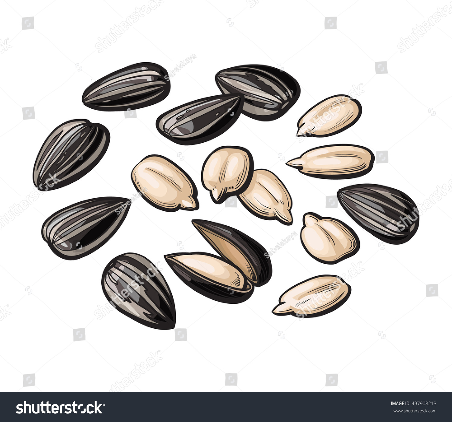 Whole Peeled Sunflower Seeds Vector Illustration Stock Vector (Royalty