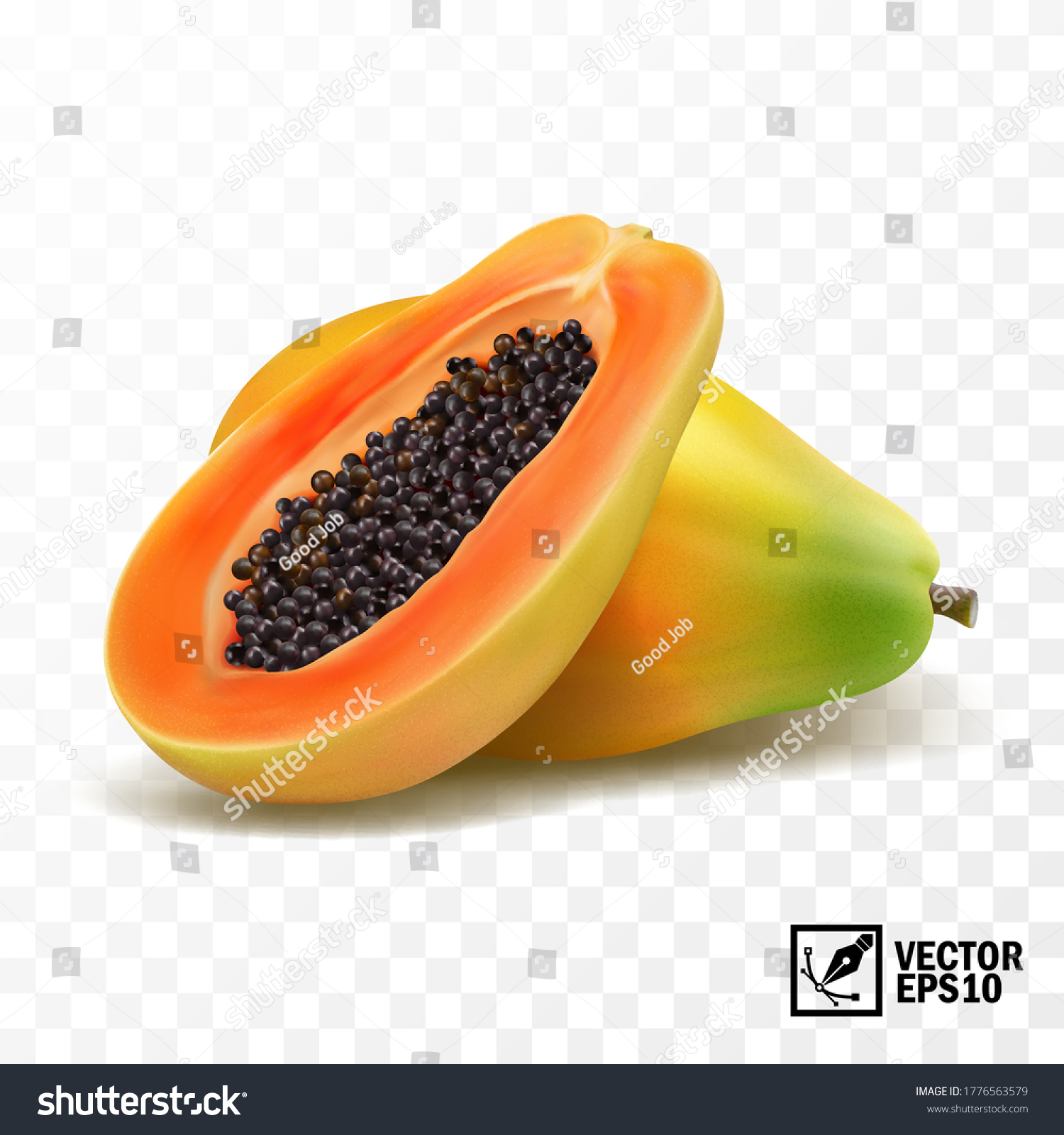 Whole Slices Papaya Fruit 3d Realistic Stock Vector Royalty Free 1776563579 3865