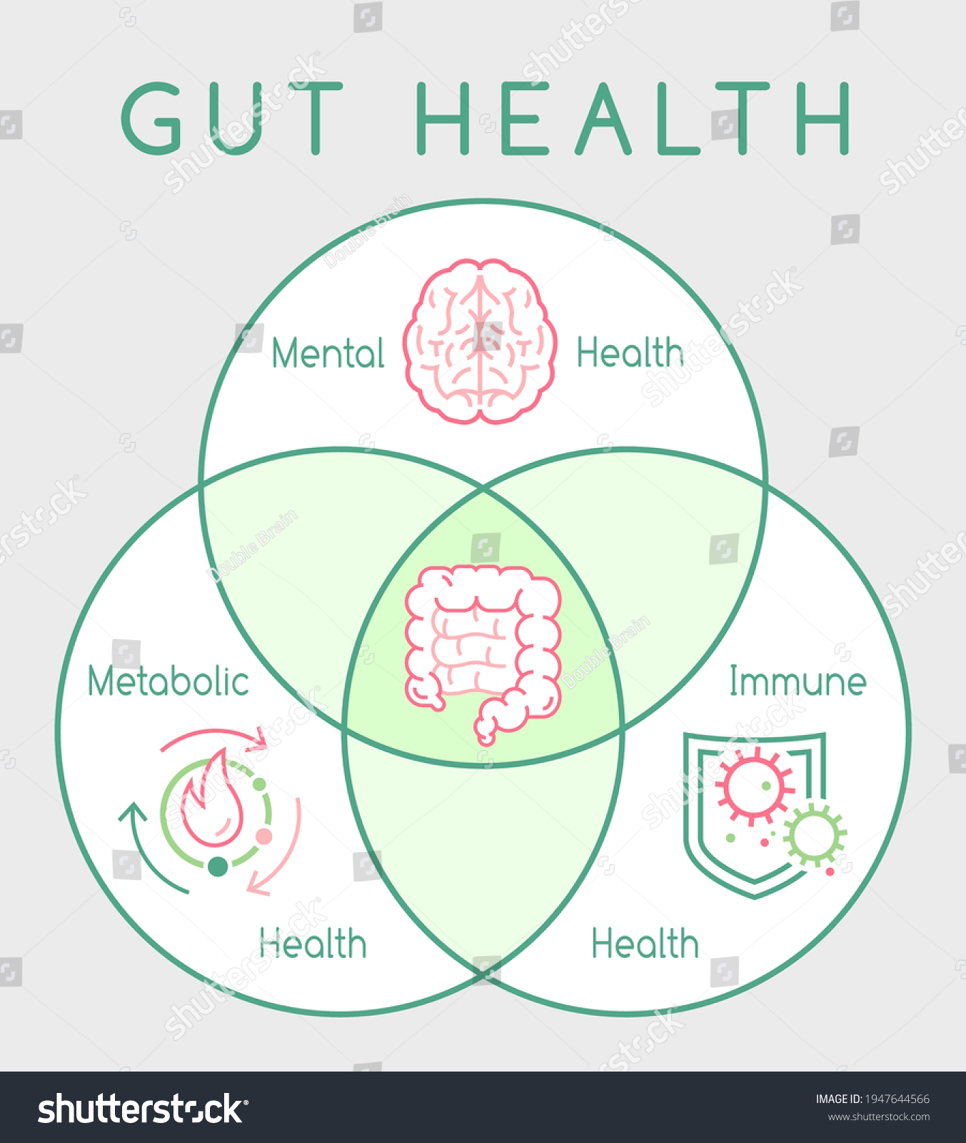 Why Gut Health Matters Vertical Poster Stock Vector (Royalty Free ...