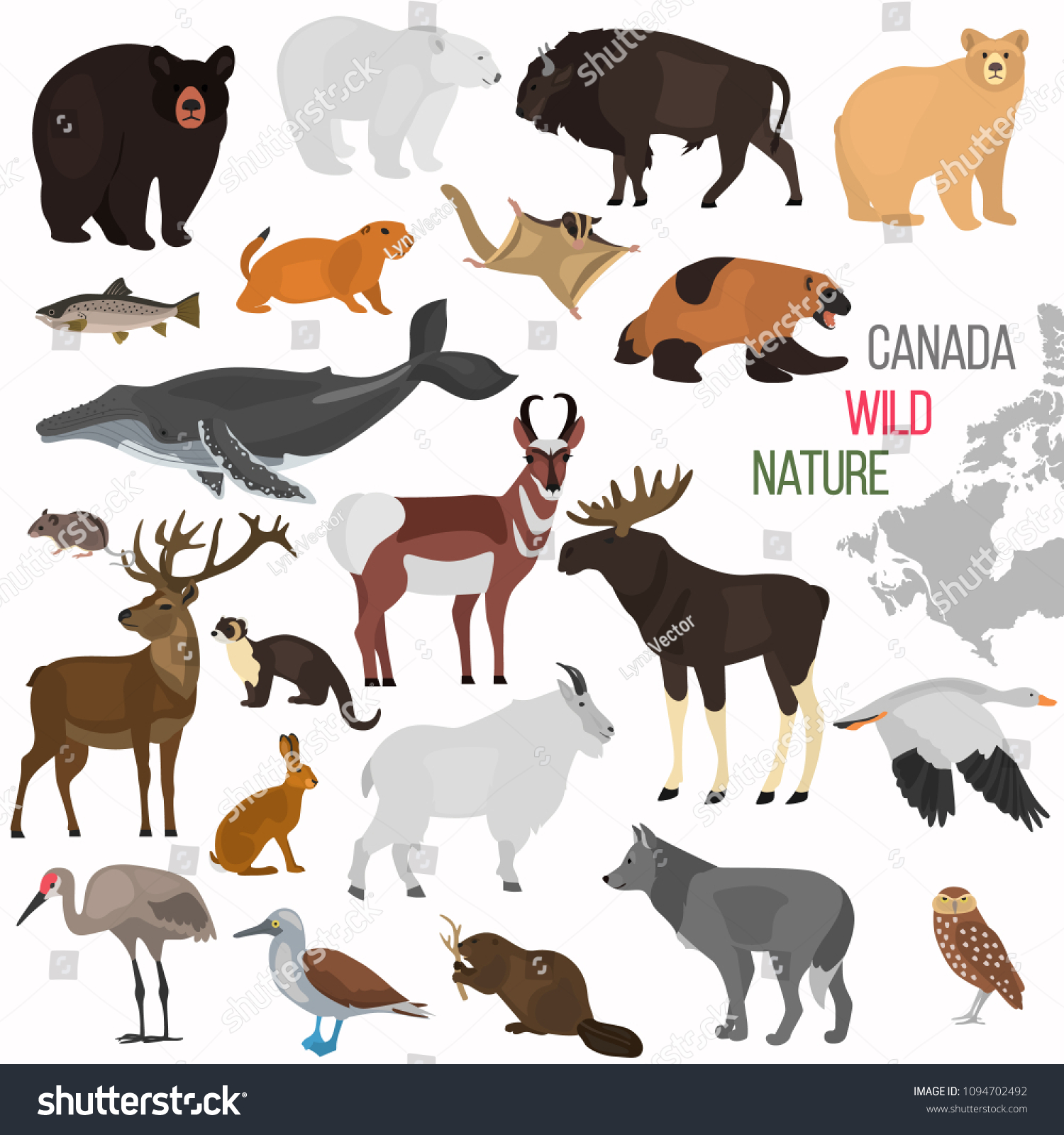 Wild Animals Canada Color Flat Icons Stock Vector (Royalty Free) 1094702492