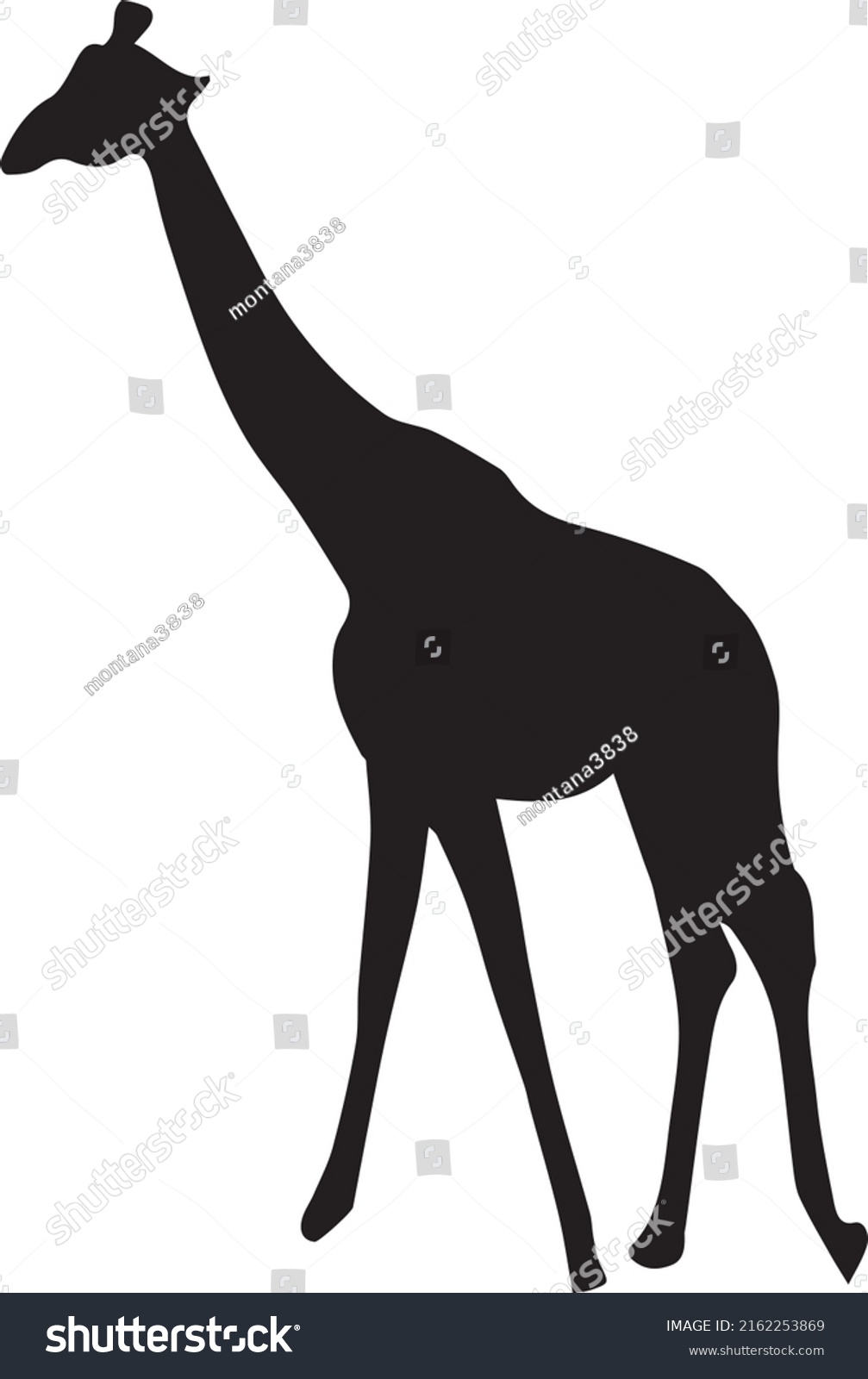 Wild Animals Silhouette Vector Background Stock Vector (royalty Free 