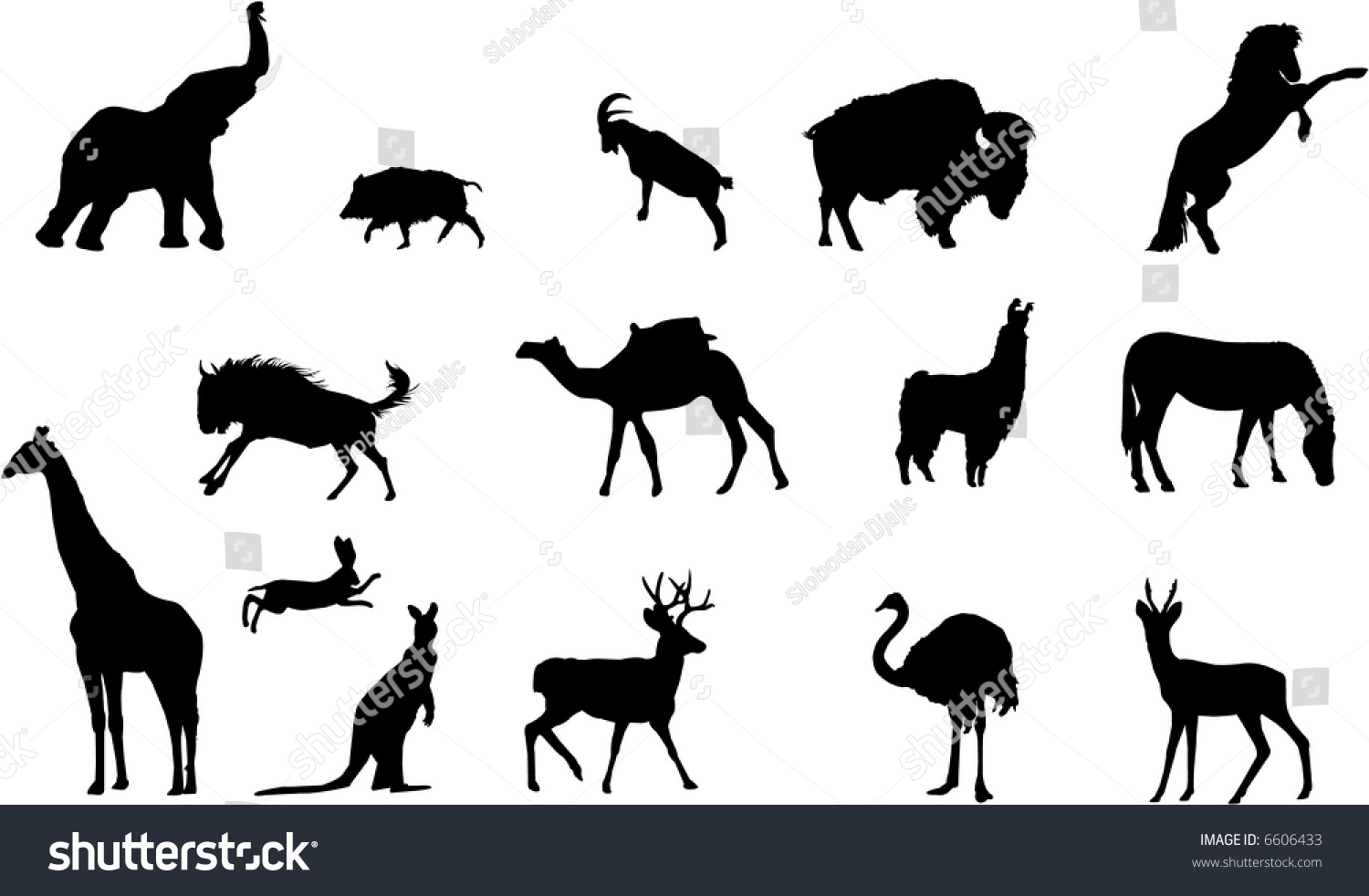 Wild Animals Silhouettes Stock Vector Illustration 6606433 : Shutterstock