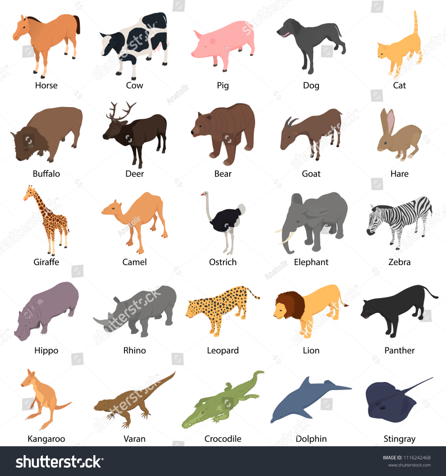 Wild Animals Signed Name Icons Set Stock Vector Royalty Free
