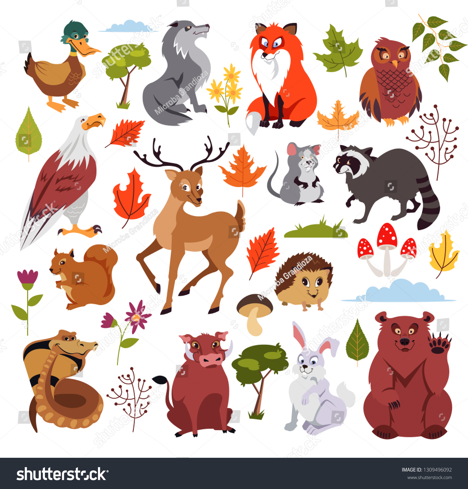 Wild Forest Animals Characters Set Plans Stock Vector (Royalty Free ...