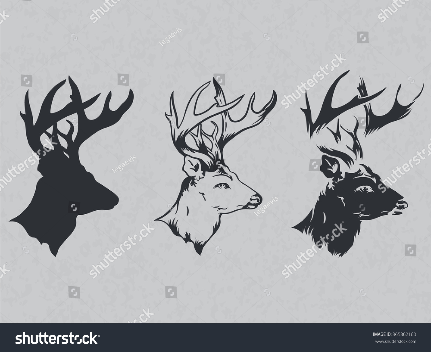 Wild Nature 05 Stock Vector Illustration 365362160 : Shutterstock