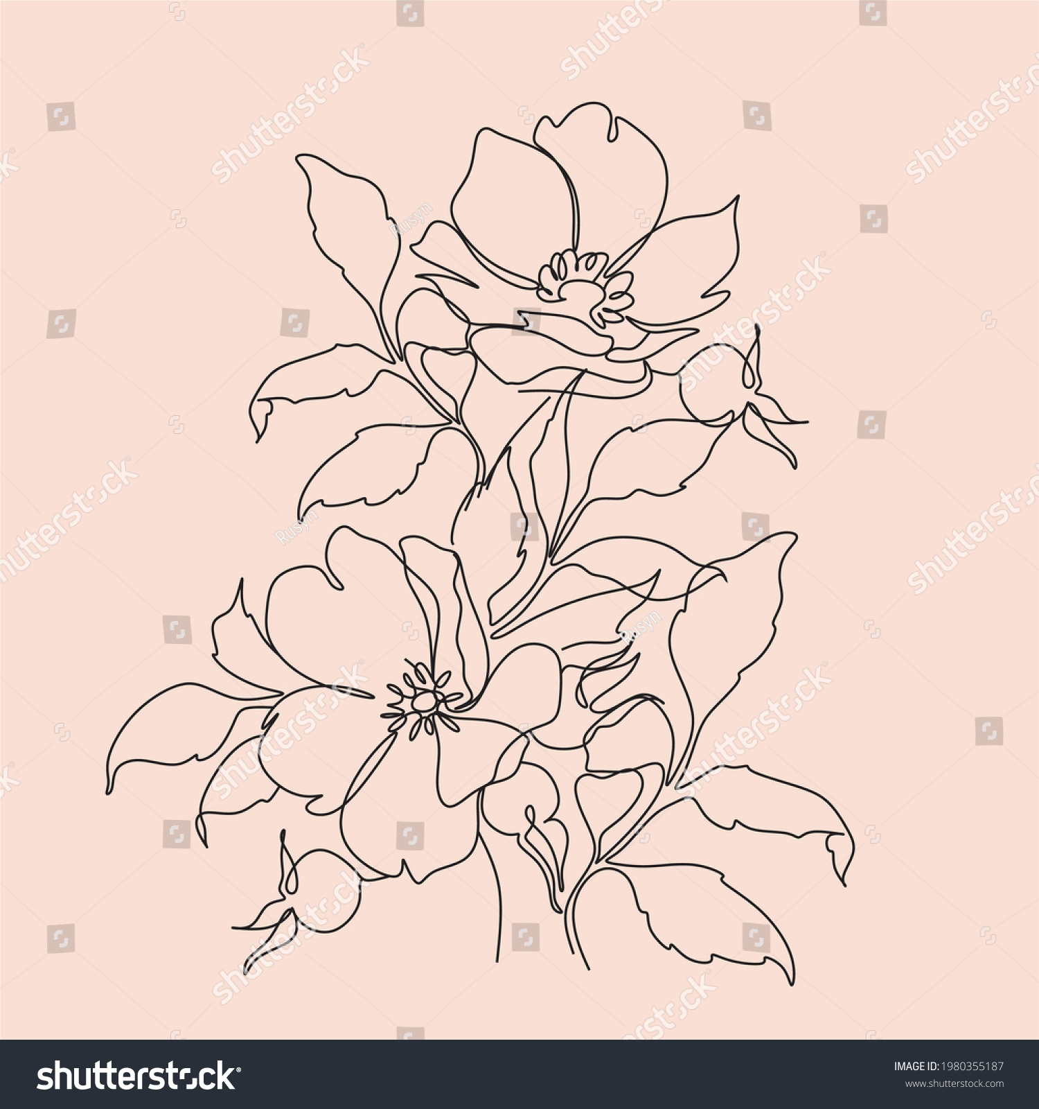 Drawing wild rose Images, Stock Photos & Vectors | Shutterstock