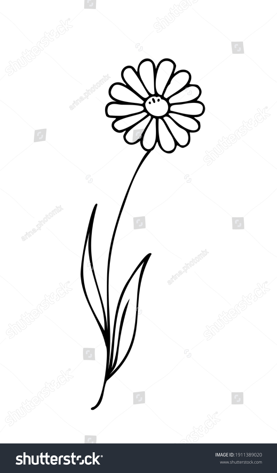 16,722 Chamomile line art Images, Stock Photos & Vectors | Shutterstock