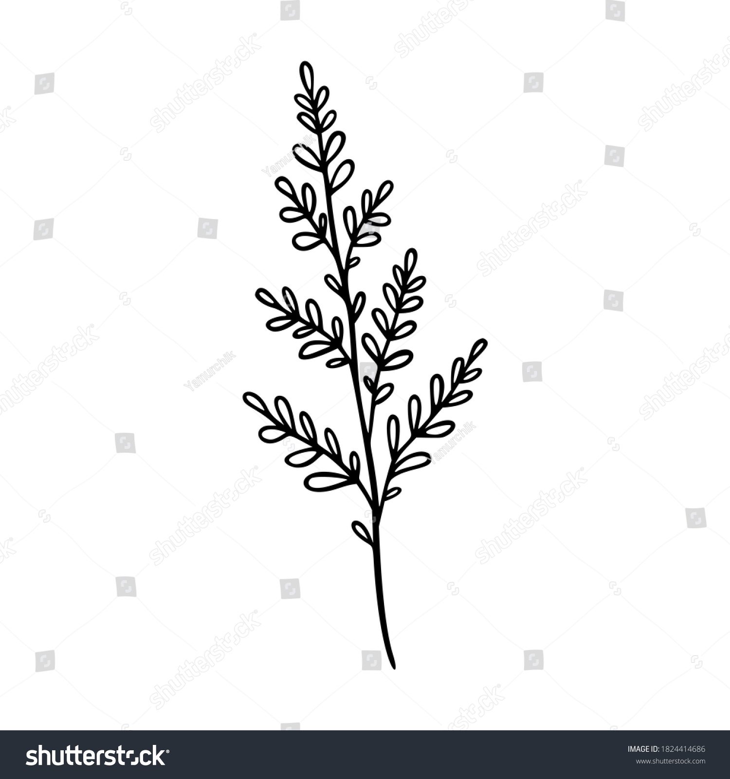 Wildflower Outline Hand Drawn Element Herbs Stock Vector (Royalty Free ...