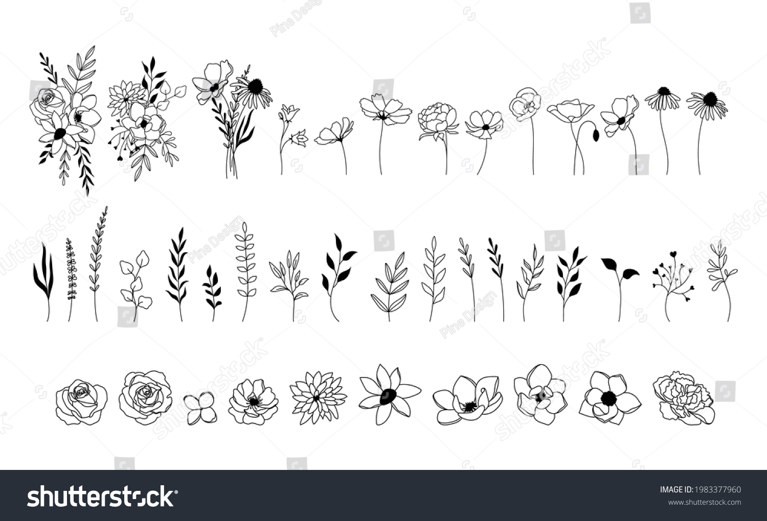 SVG of Wildflower vector set, floral collection, botanical elements svg