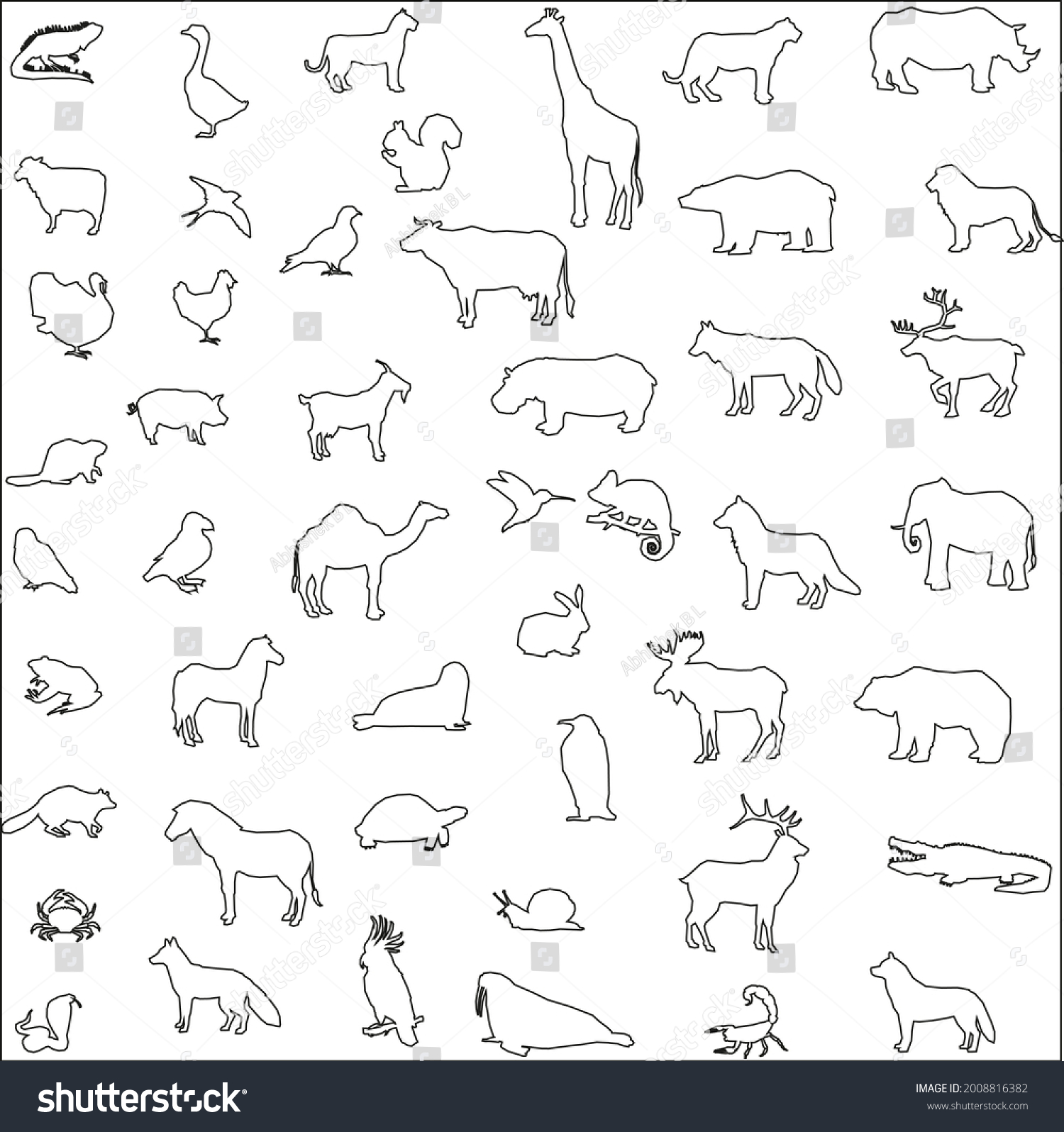 Wildlife Animals Outline Collection Set Stock Vector (Royalty Free ...