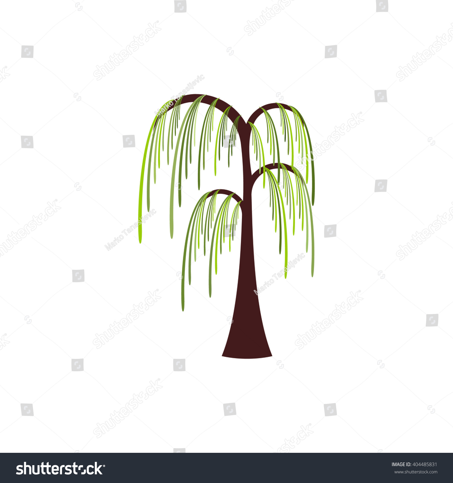 Willow Tree Stock Vector Illustration 404485831 : Shutterstock