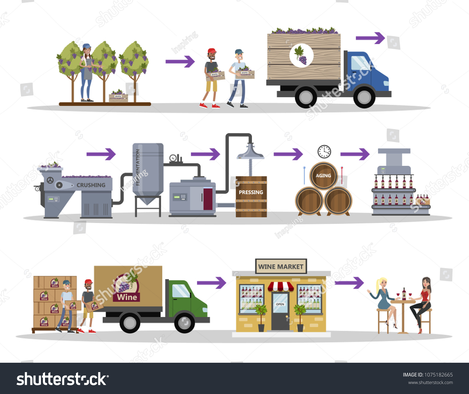 Wine Production Set Red Wine Grapes Stock Vector (Royalty Free) 1075182665