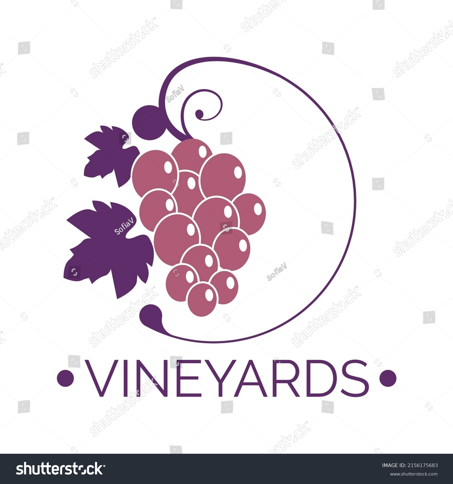 Winemaking Process Winery Production Fine Alcoholic Stock Vector ...