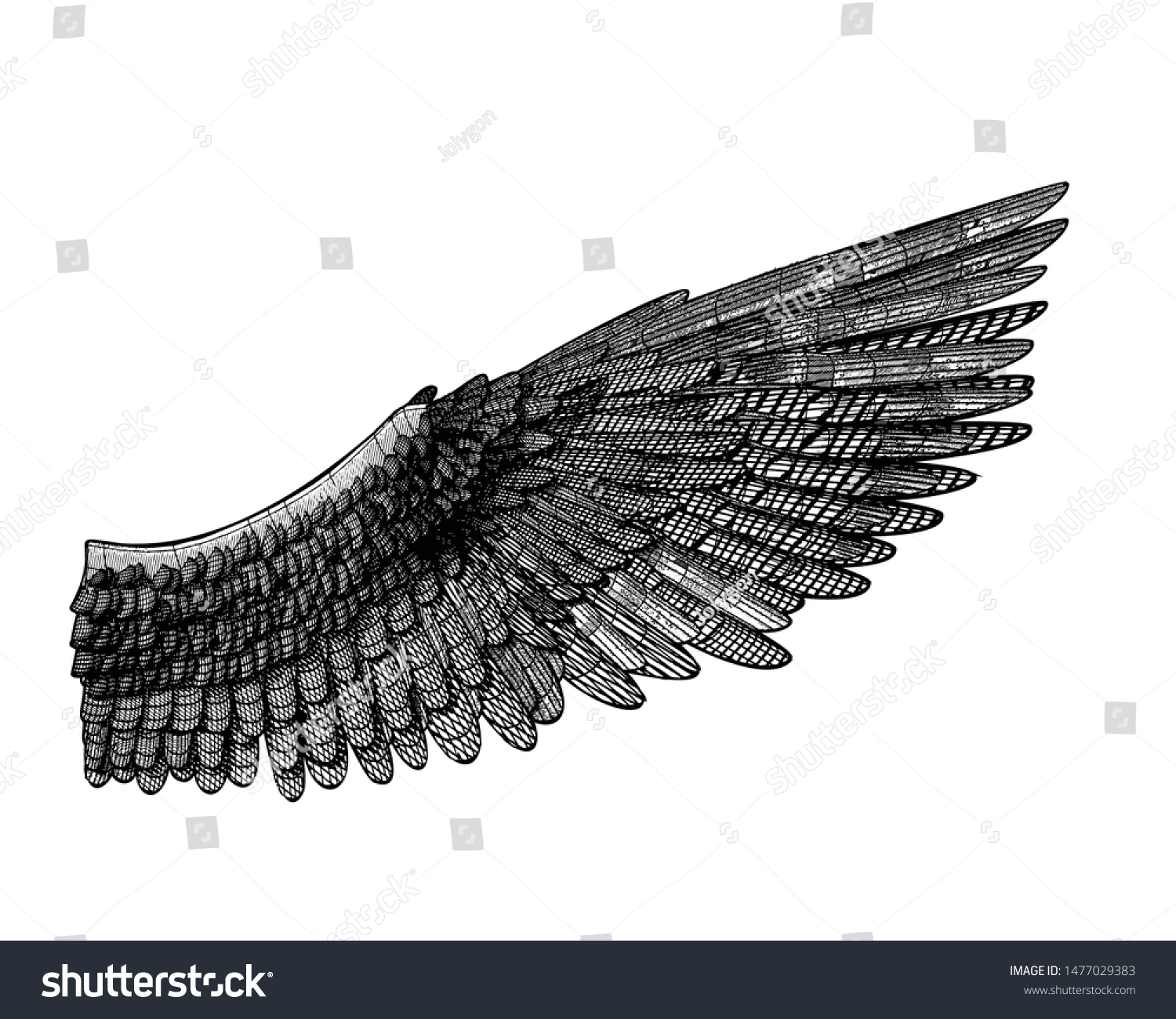 Wing Feather Vector 3d Wireframe Line Stock Vector (Royalty Free ...