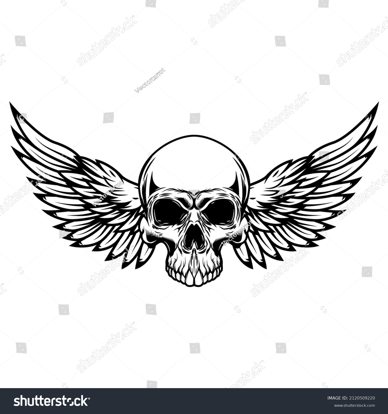 Winged Skull Design Element Emblem Sign Stock Vector (Royalty Free ...