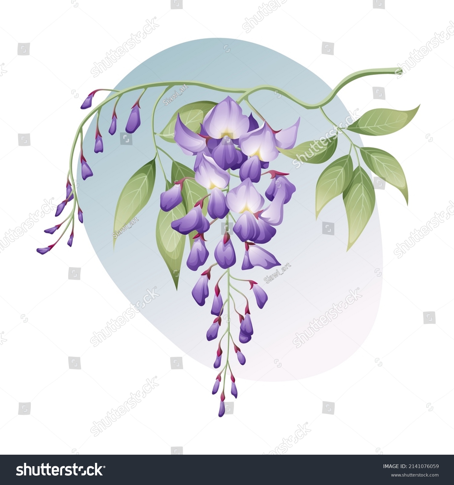 SVG of Wisteria with leaves on a white background. Floral illustration. Great for stickers, clothing design, covers, etc. svg