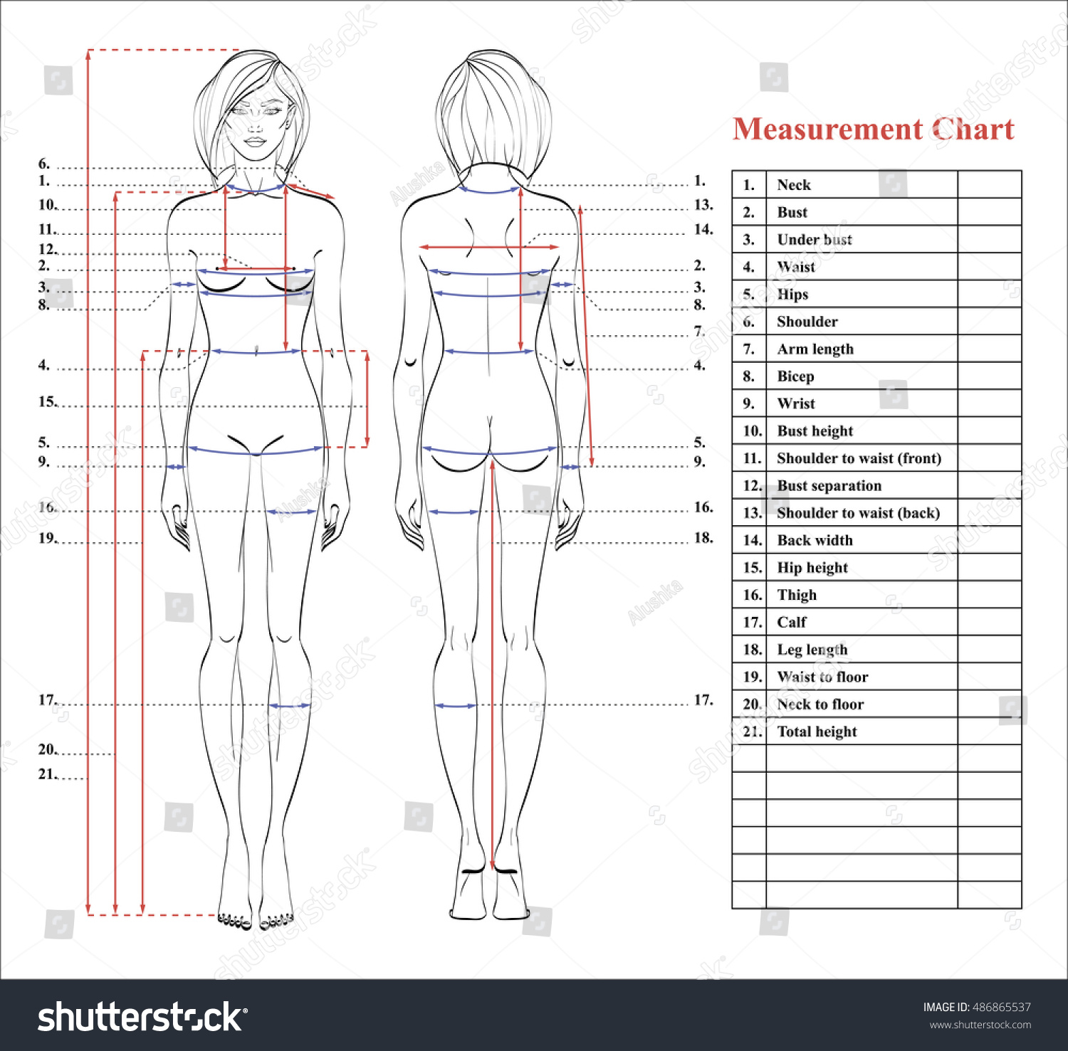 diagram-printable-human-body-measurement-diagram-mydiagram-online