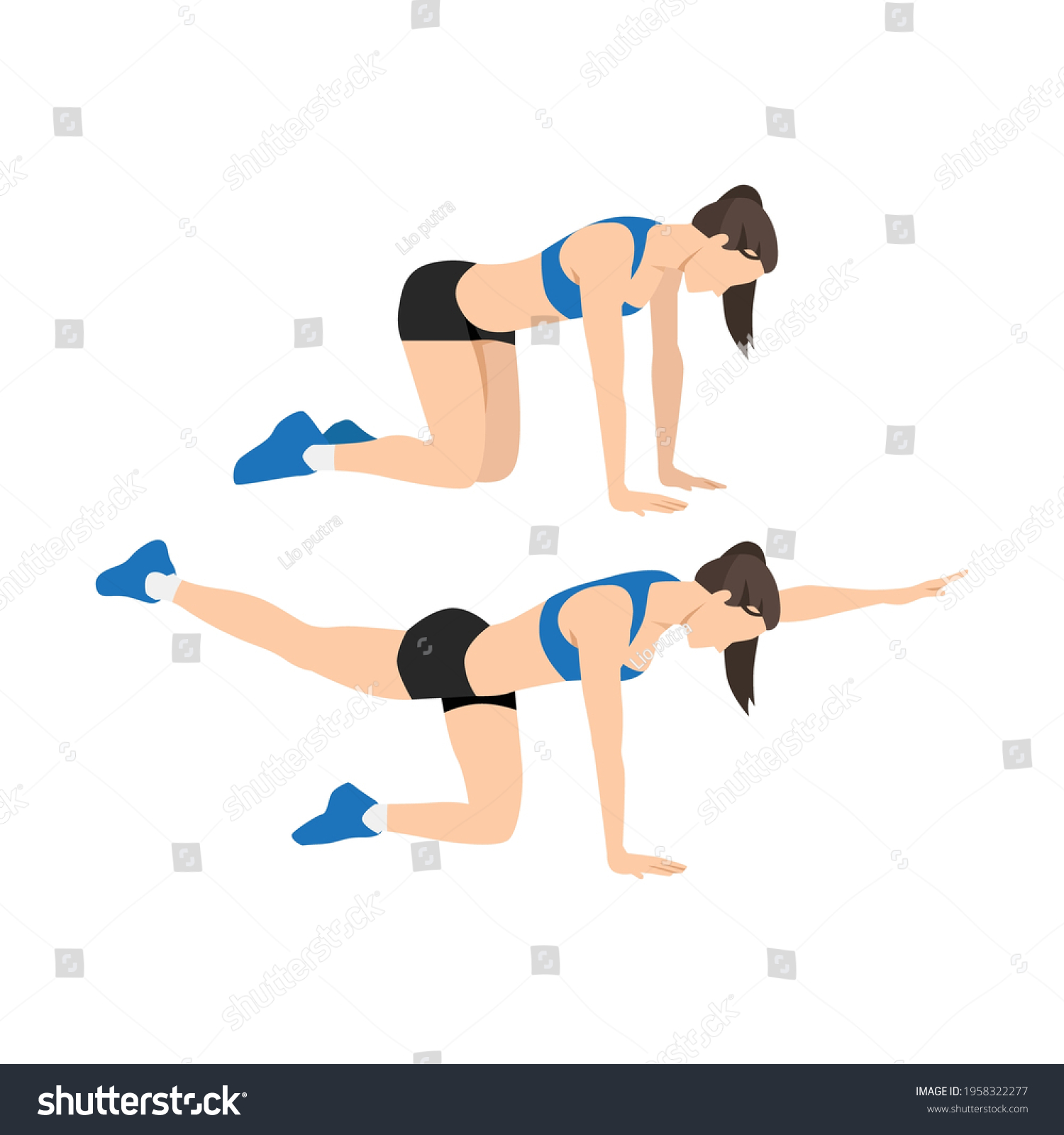 Woman Doing Bird Dogs Alternating Reach Stock Vector (Royalty Free ...