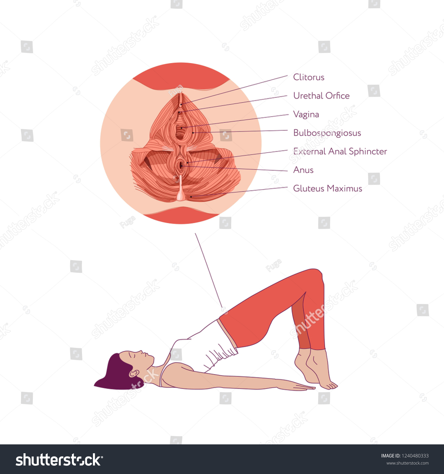 Woman Doing Exercises Strengthen Muscles Vagina Stock Vector