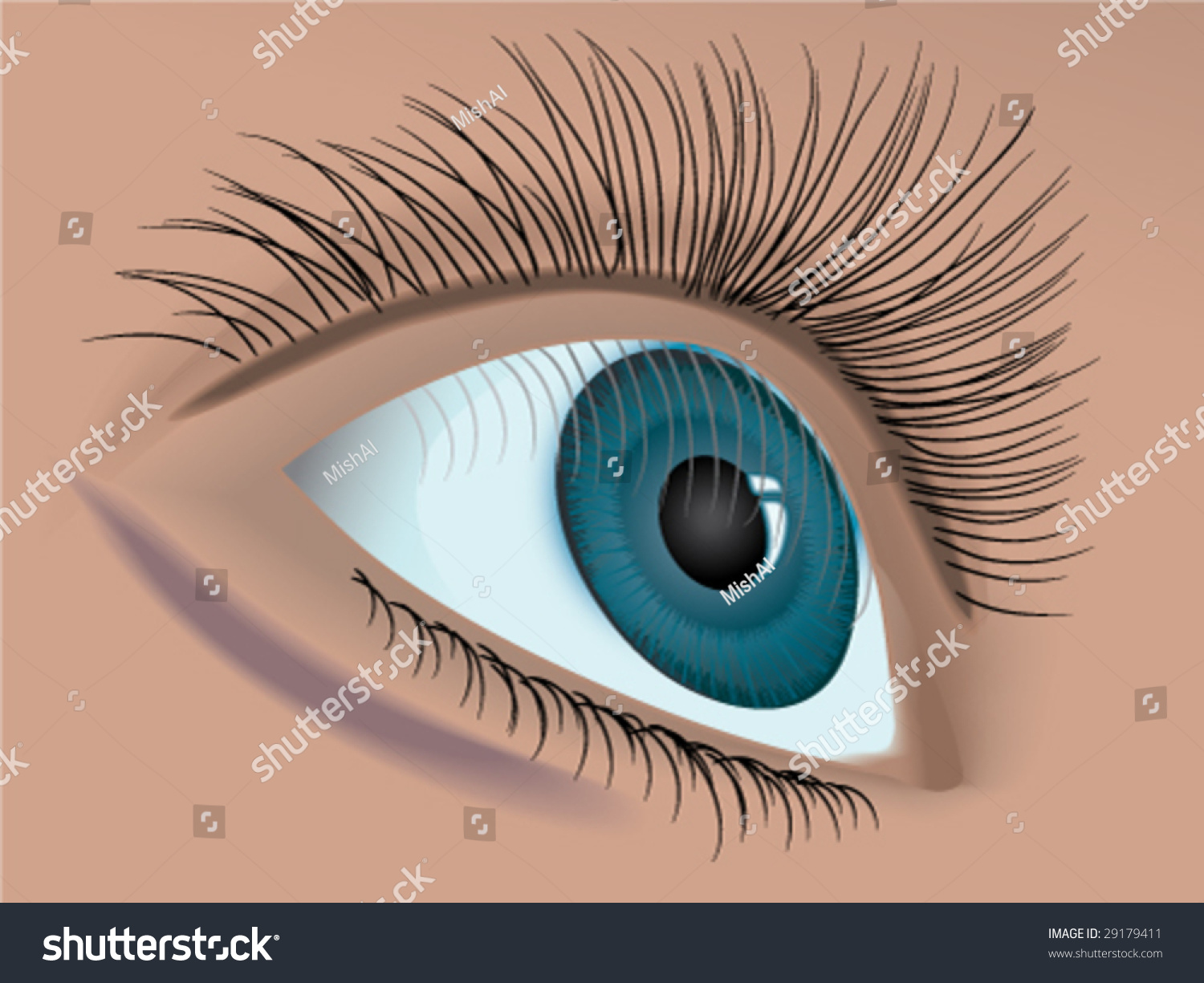 Woman Eye Closeup Vector Stock Vector Royalty Free 29179411