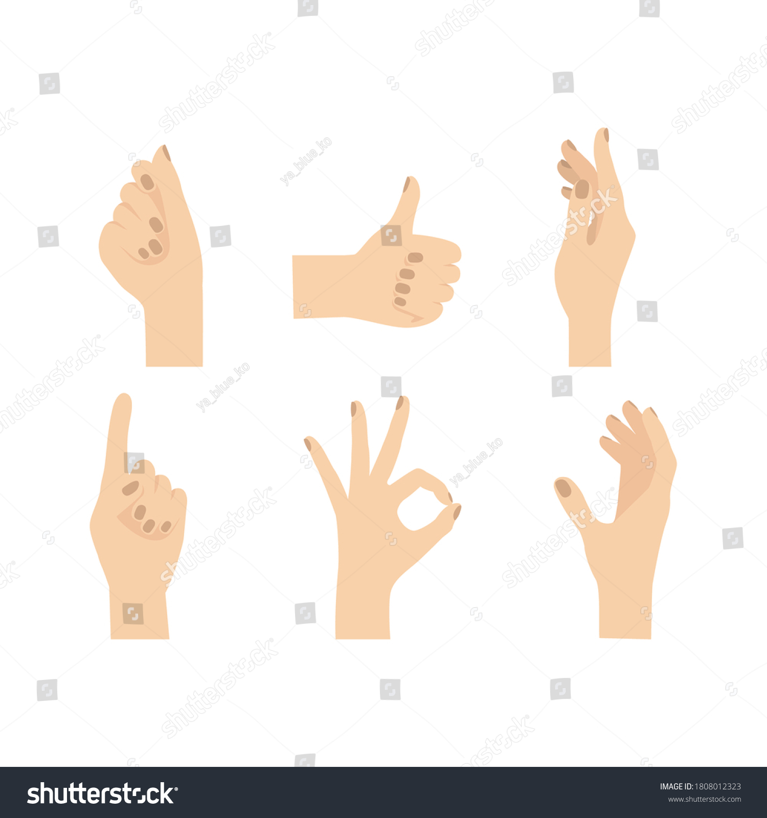 Woman Hands Hand Gestures Flat Hand Stock Vector (Royalty Free ...