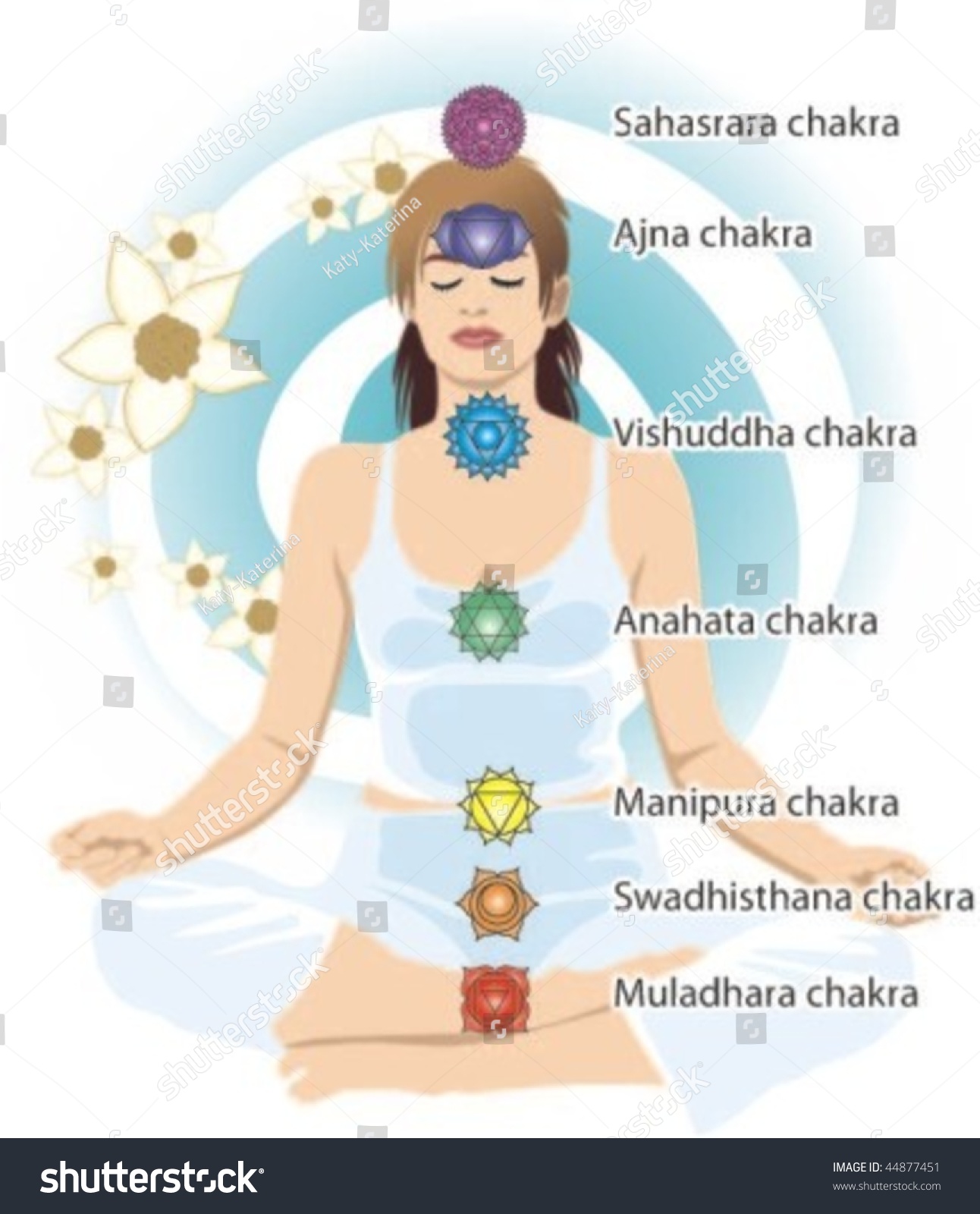 Woman Lotus Position Seven Chakras Stock Vector 44877451 - Shutterstock