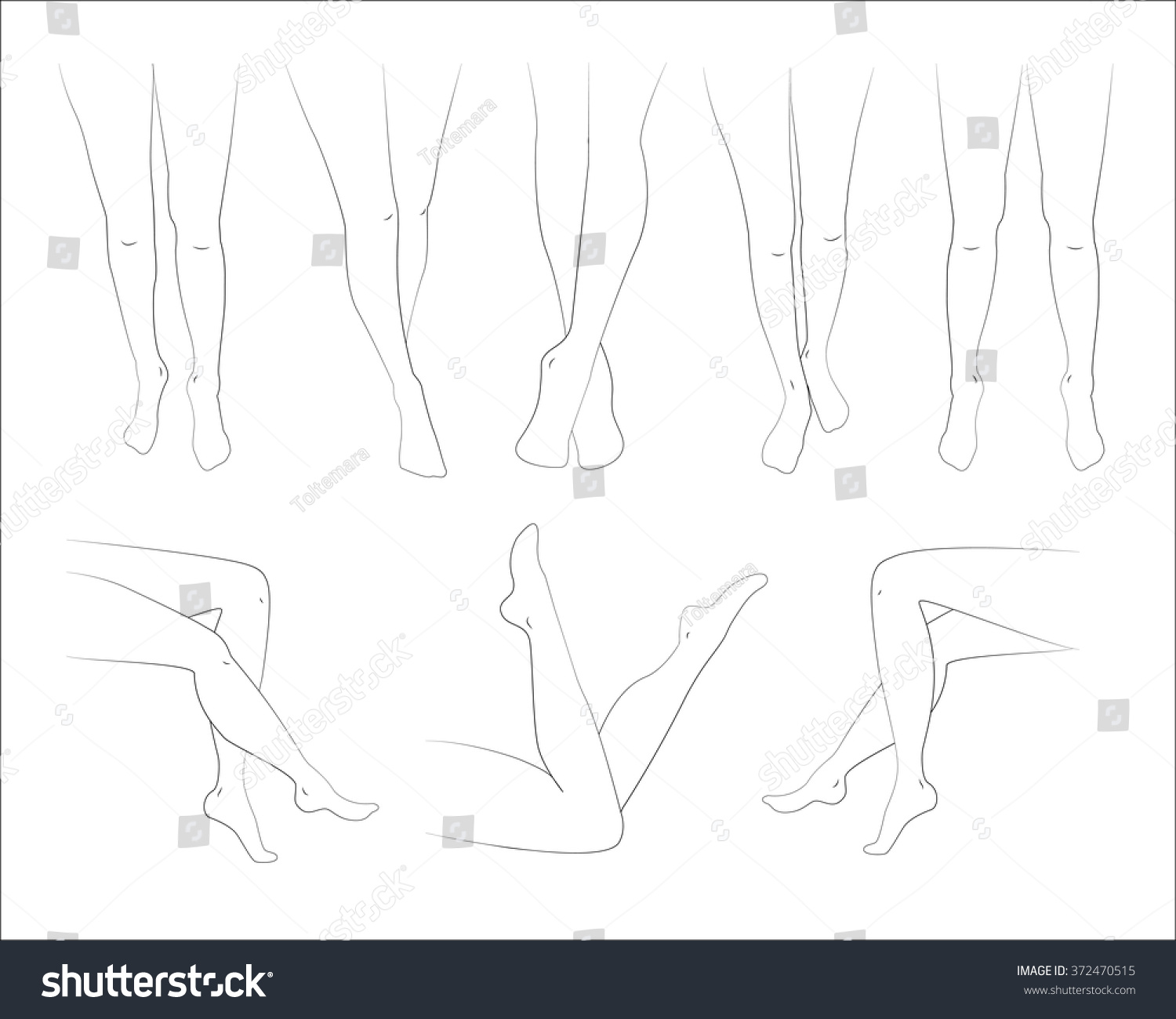 Woman Legs In Different Poses Set. Elegant Lying, Standing, And Sitting ...