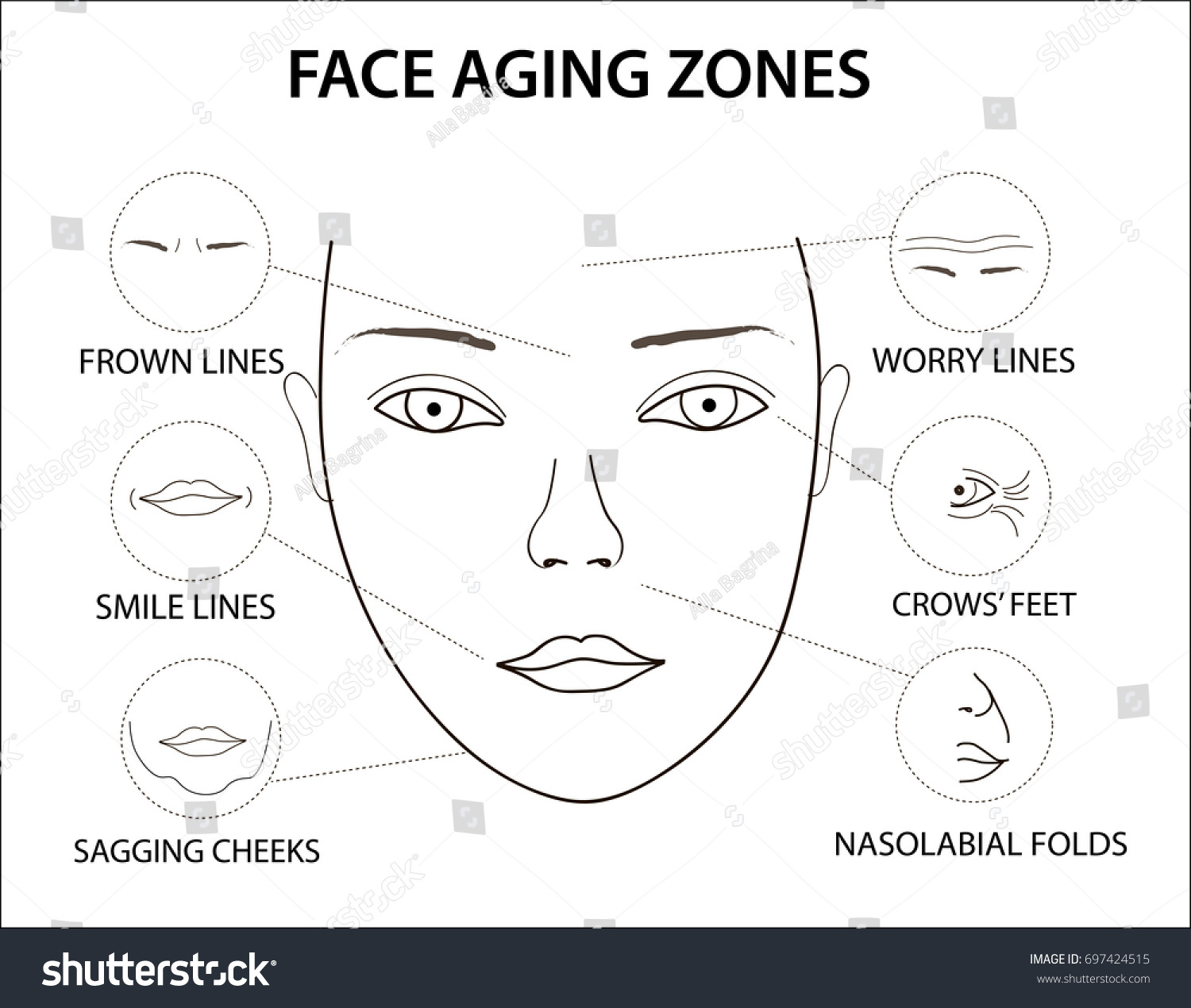 Womans Face Places Where Wrinkles Appear Stock Vector (Royalty Free ...