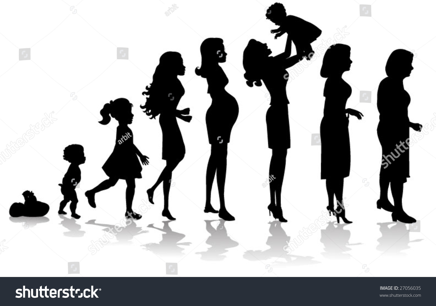 Woman Stages Development Silhouettes Stock Vector 27056035 - Shutterstock