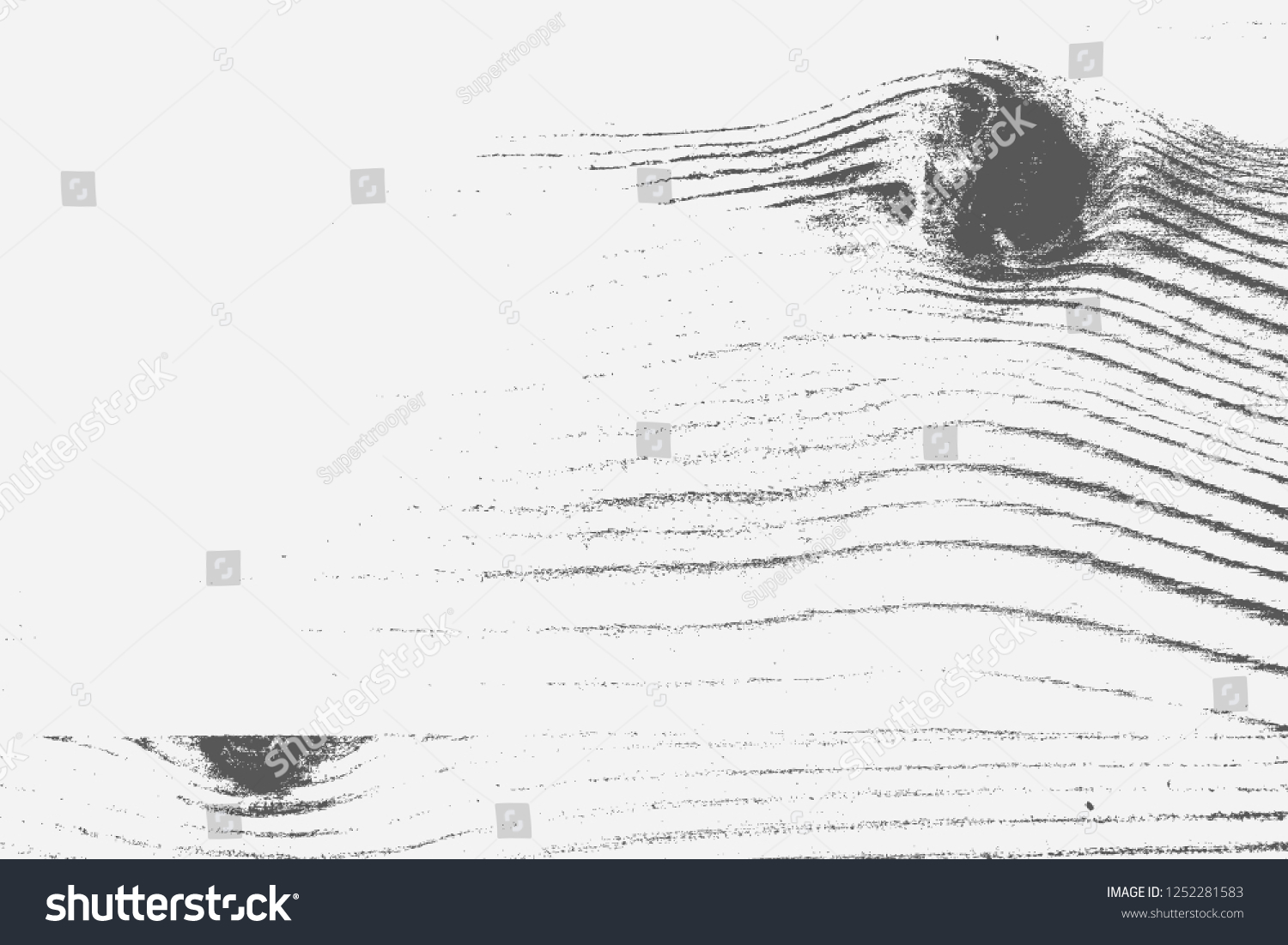 Woodgrain Old Grunge Urban Vector Black Stock Vector (Royalty Free ...