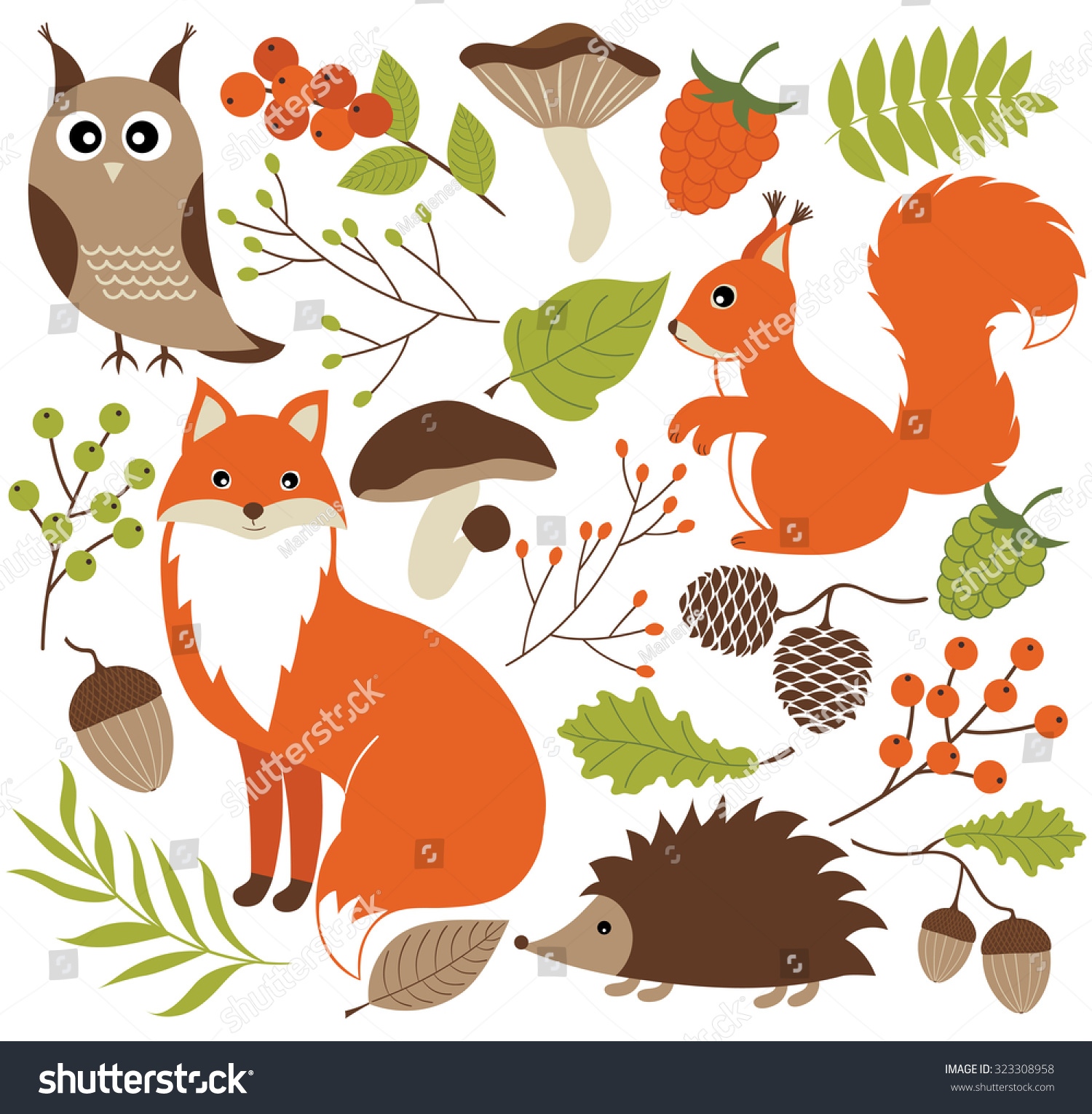 Woodland Animals Stock Vector Illustration 323308958 : Shutterstock