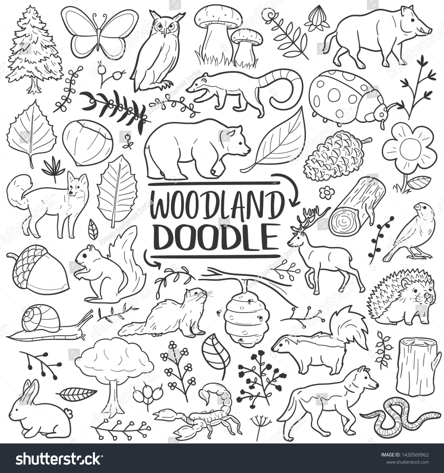 19,684 Woodland doodle Images, Stock Photos & Vectors | Shutterstock