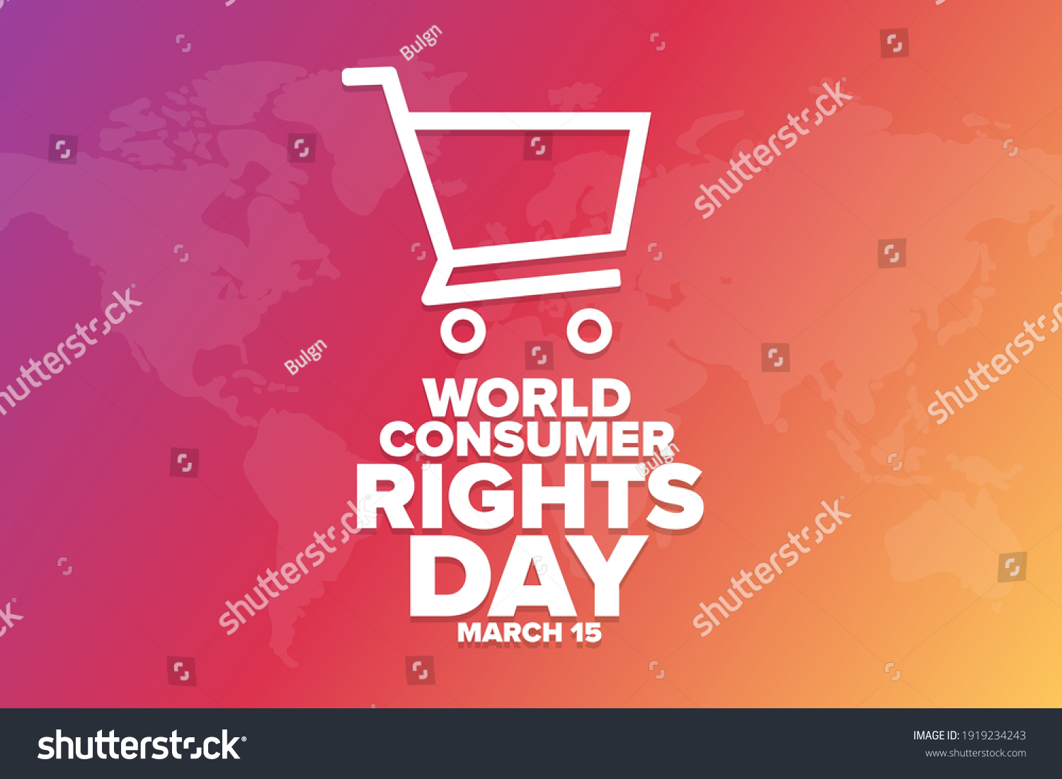 consumer rights day essay