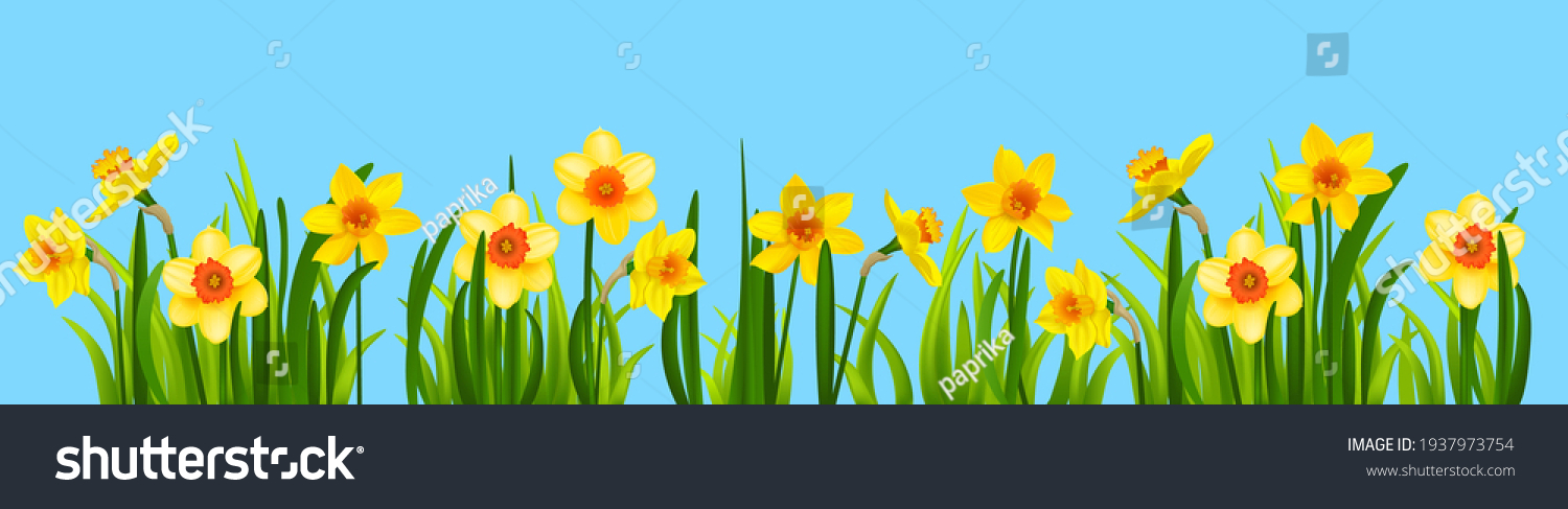 SVG of Yellow blossom banner with daffodils and grass. Holiday decor elements on blue for design card, banner, ticket, leaflet, poster and so on. Optimistic spring design svg